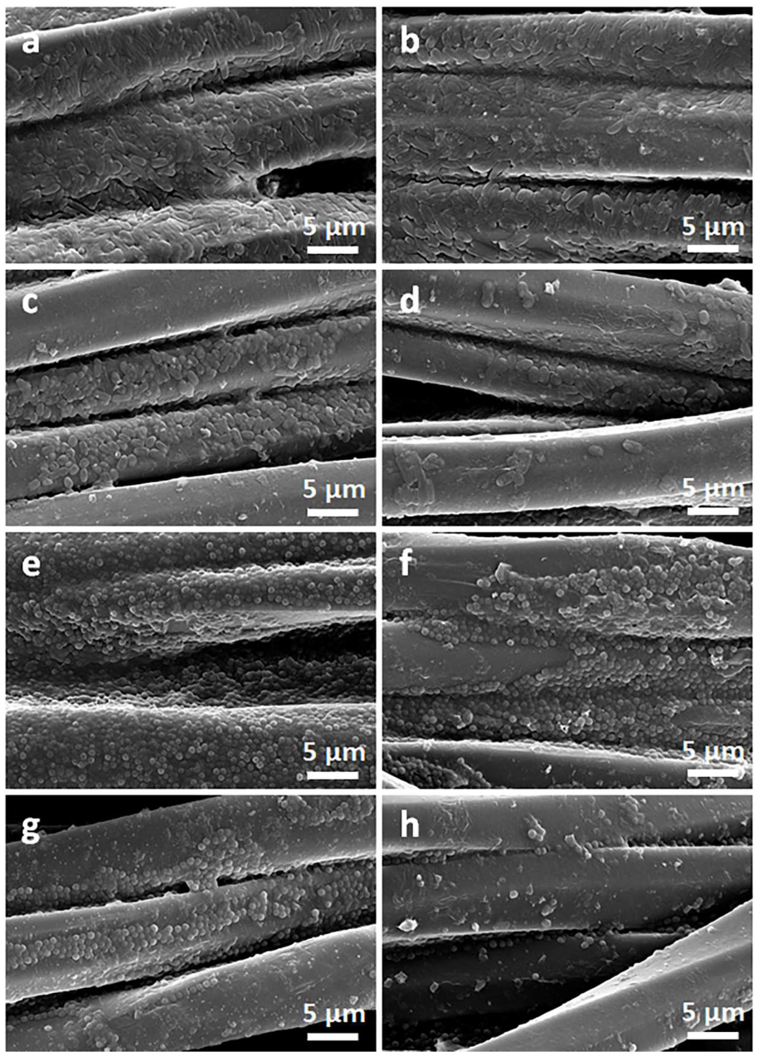 Materials 16 07184 g011