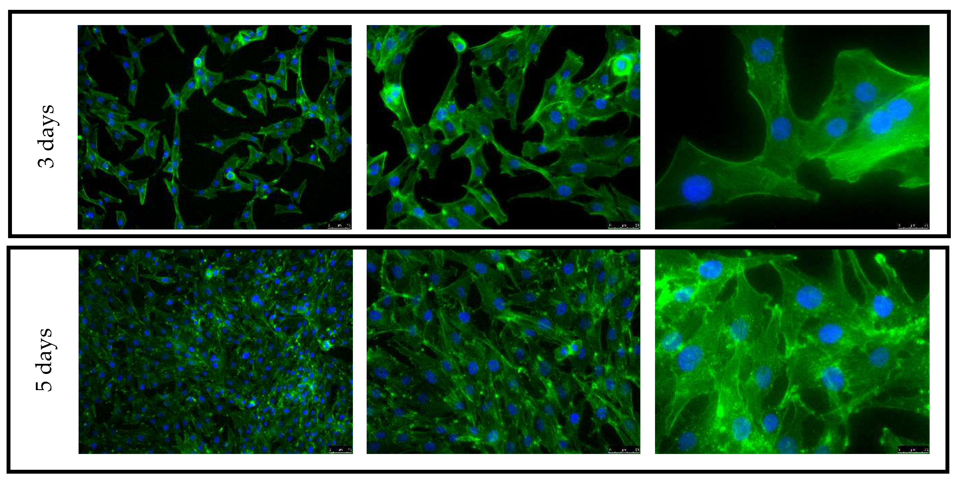 Materials 16 07188 g011 Materials 16 07188 g011