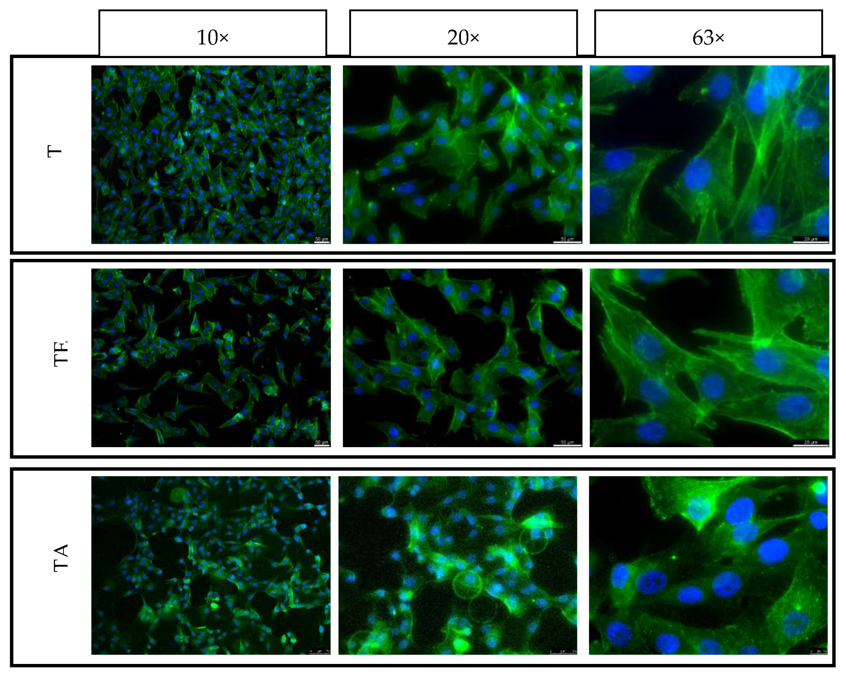 Materials 16 07188 g013 Materials 16 07188 g013