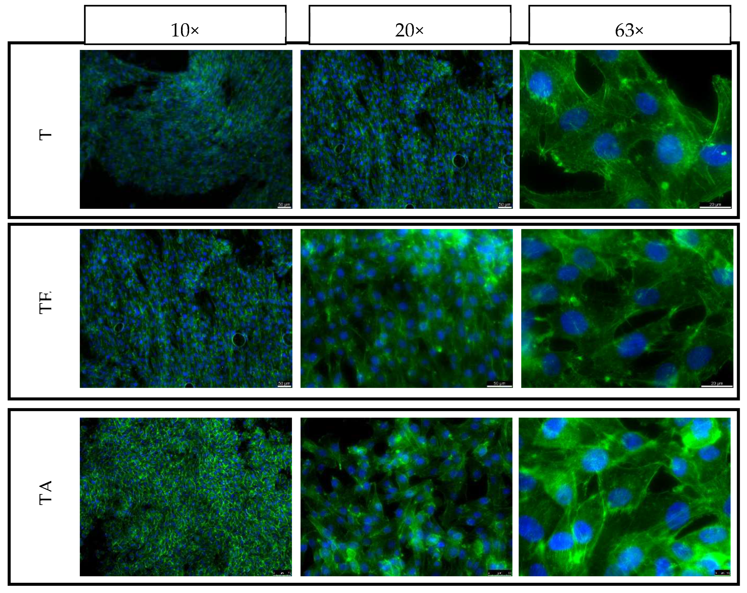 Materials 16 07188 g014 Materials 16 07188 g014