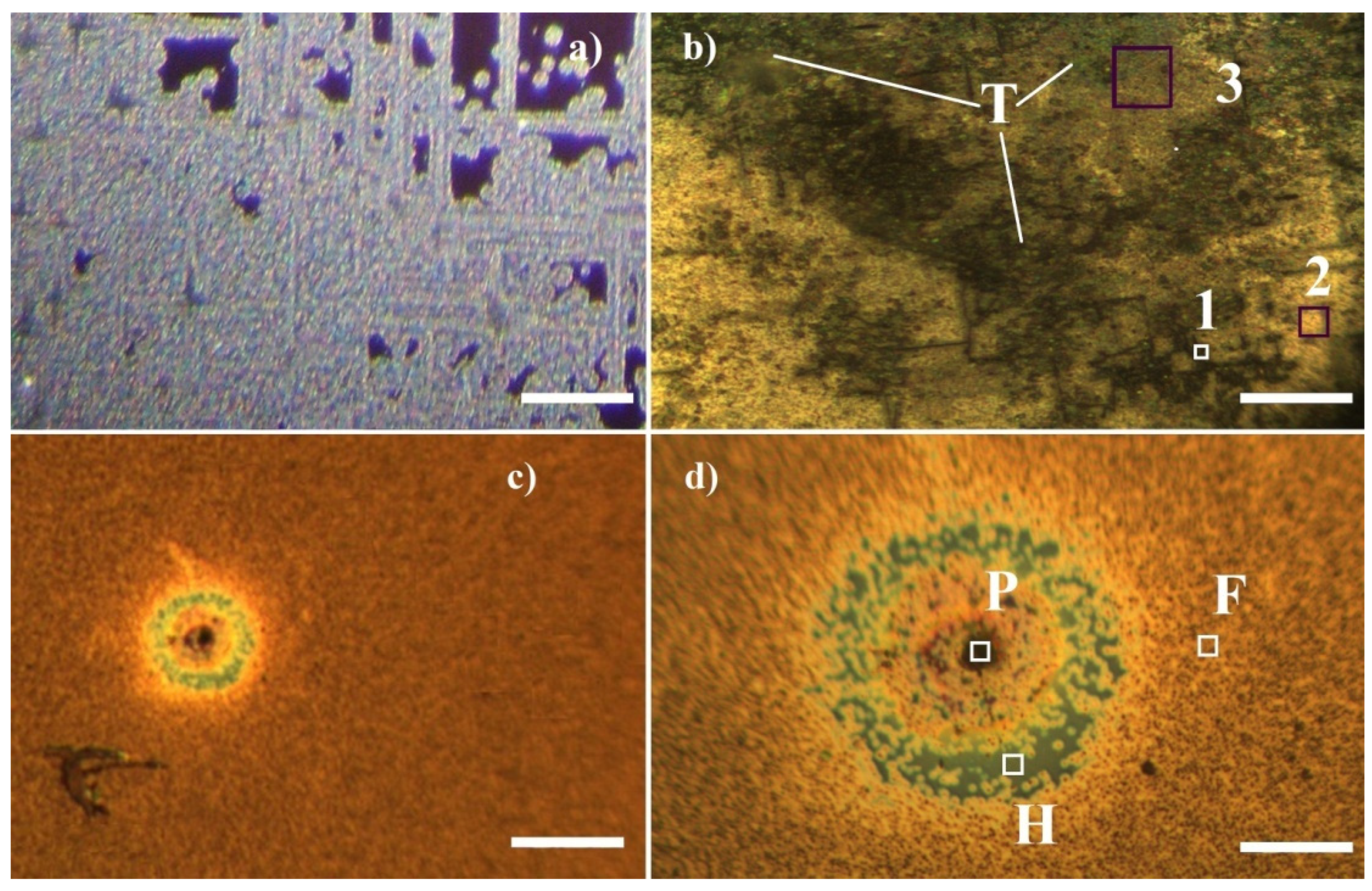 Materials 16 07190 g002