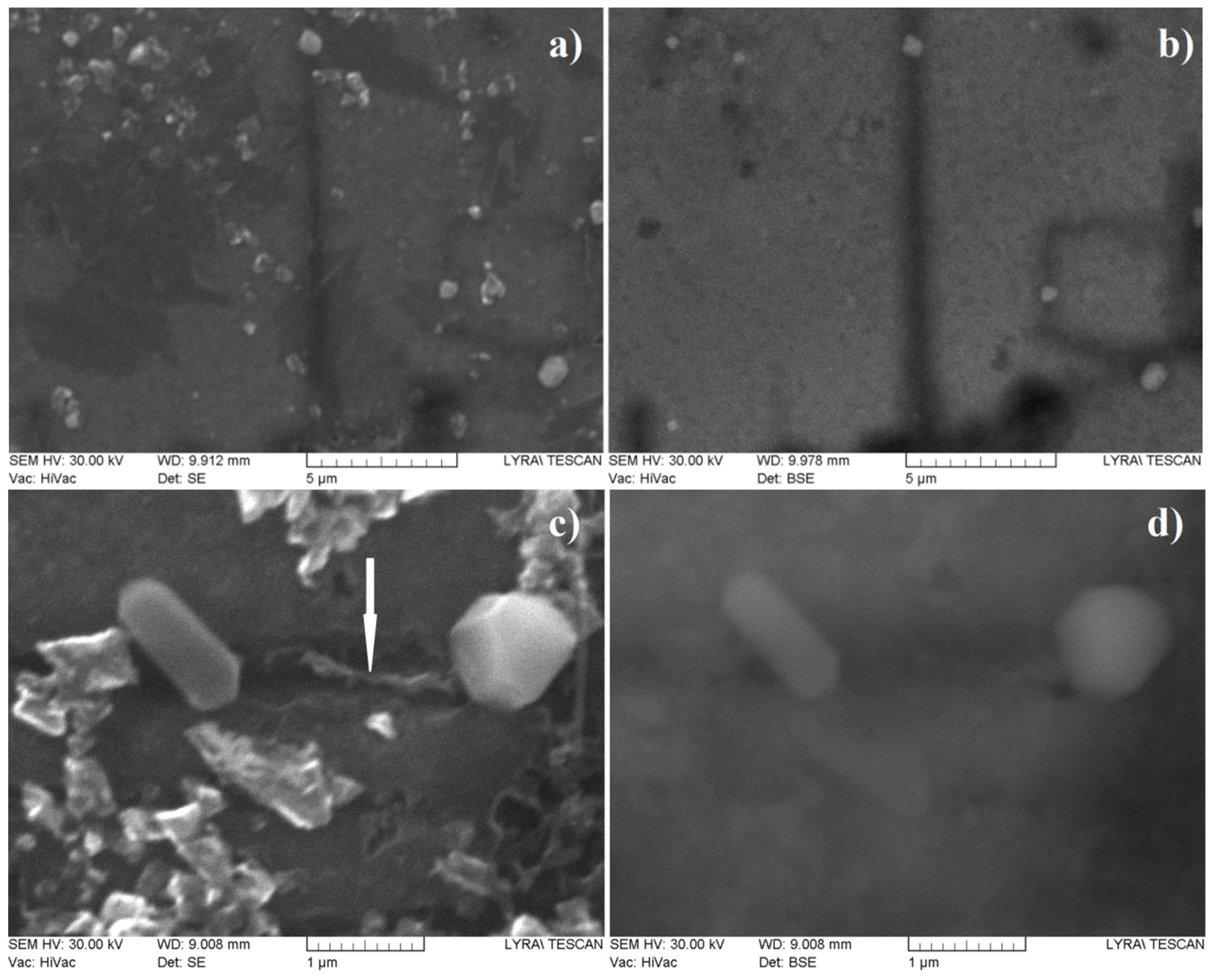 Materials 16 07190 g004