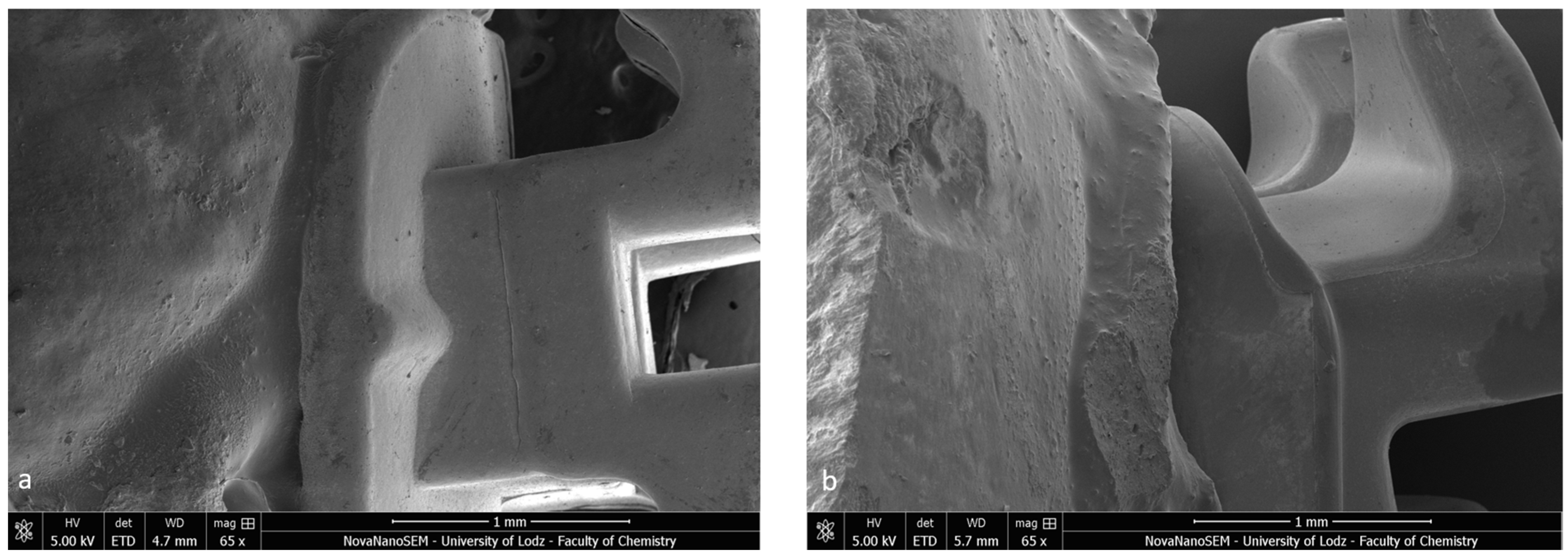 Materials 16 07202 g002