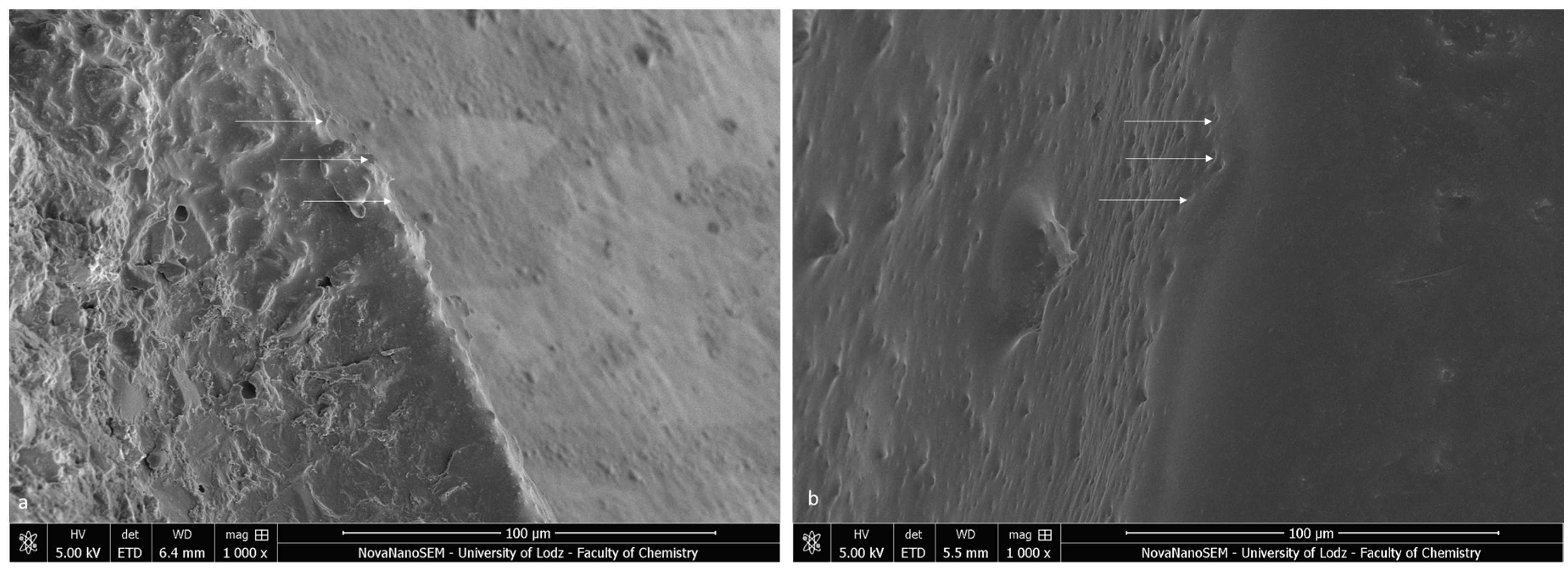 Materials 16 07202 g004