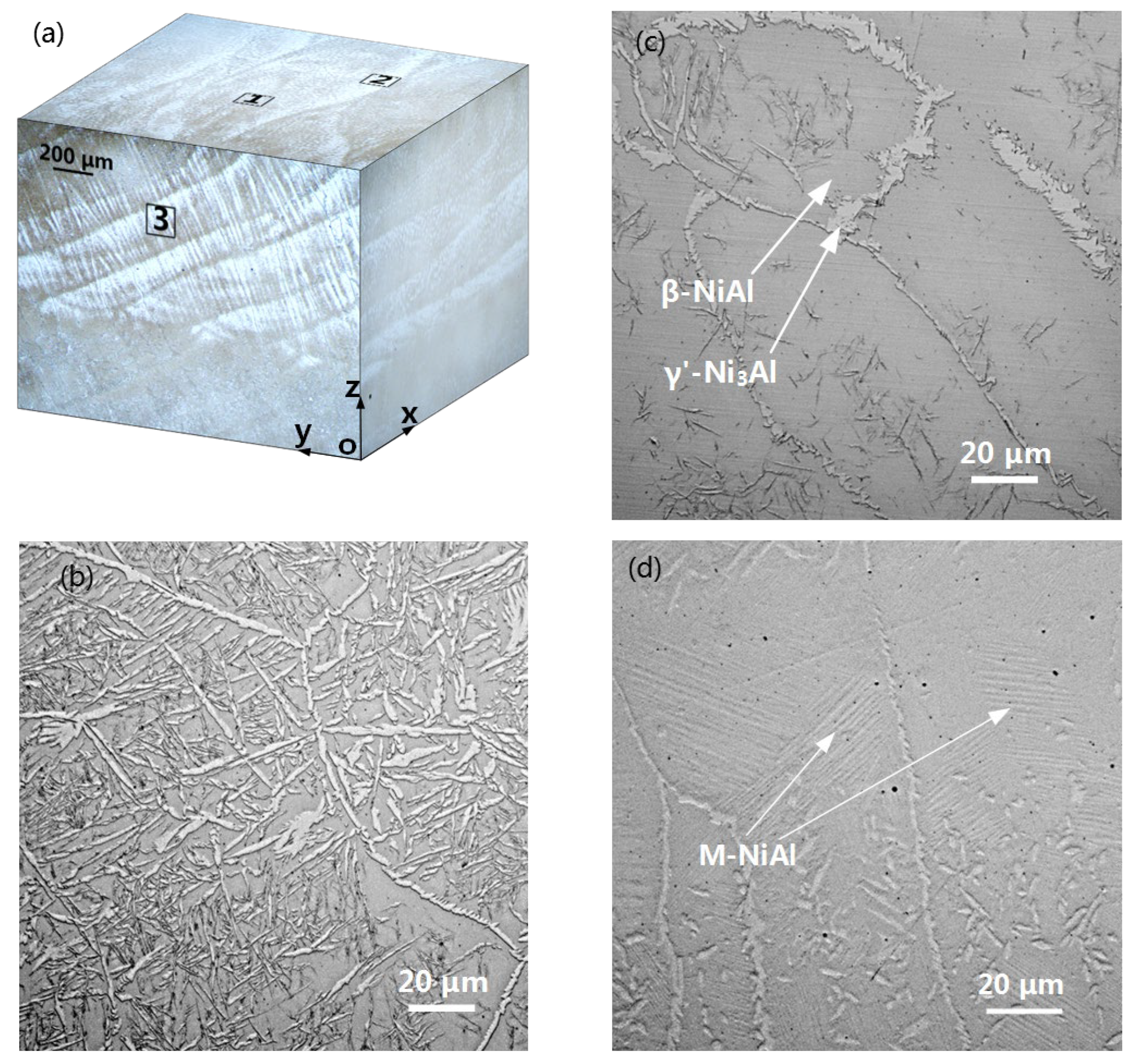 Materials 16 07205 g005
