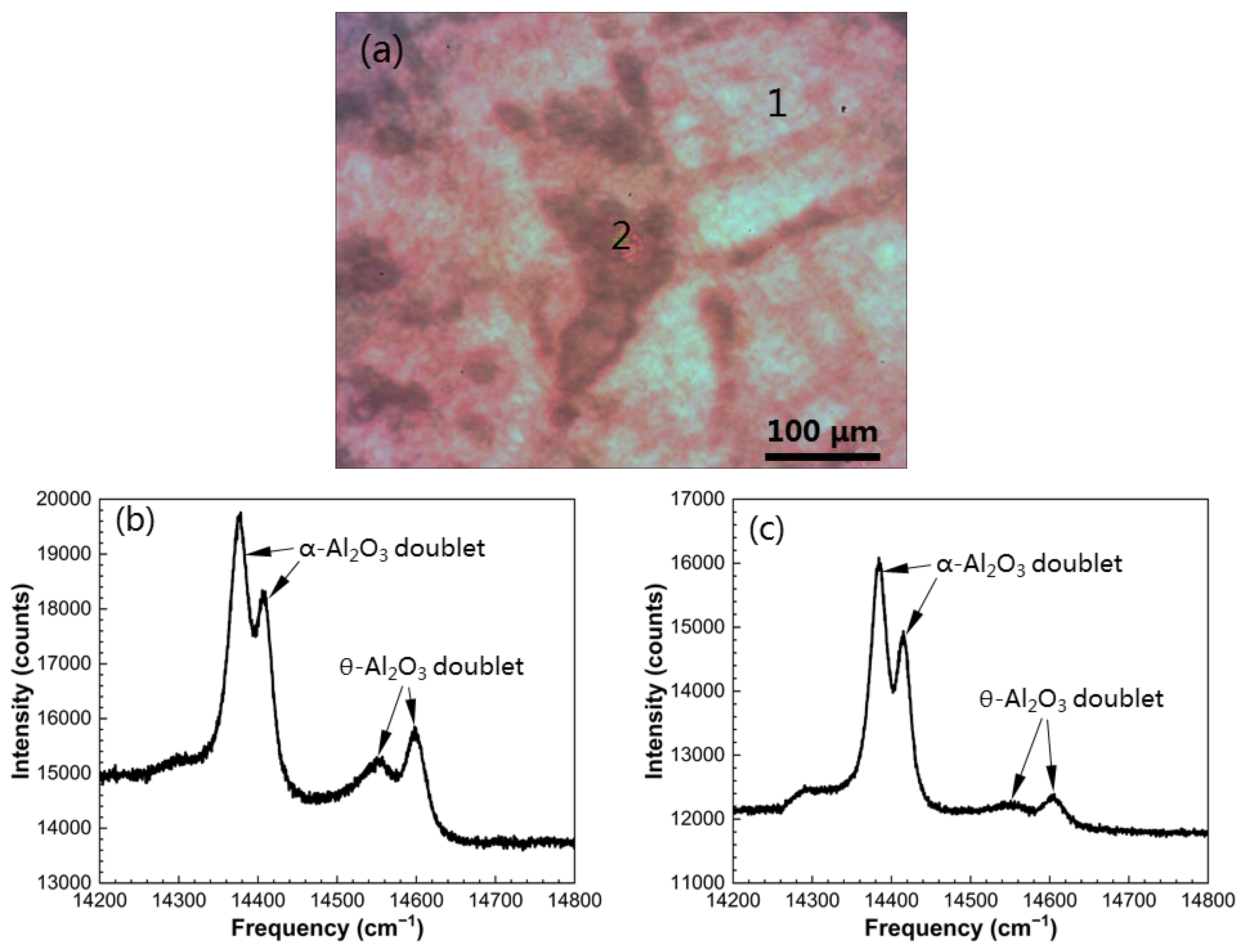 Materials 16 07205 g007