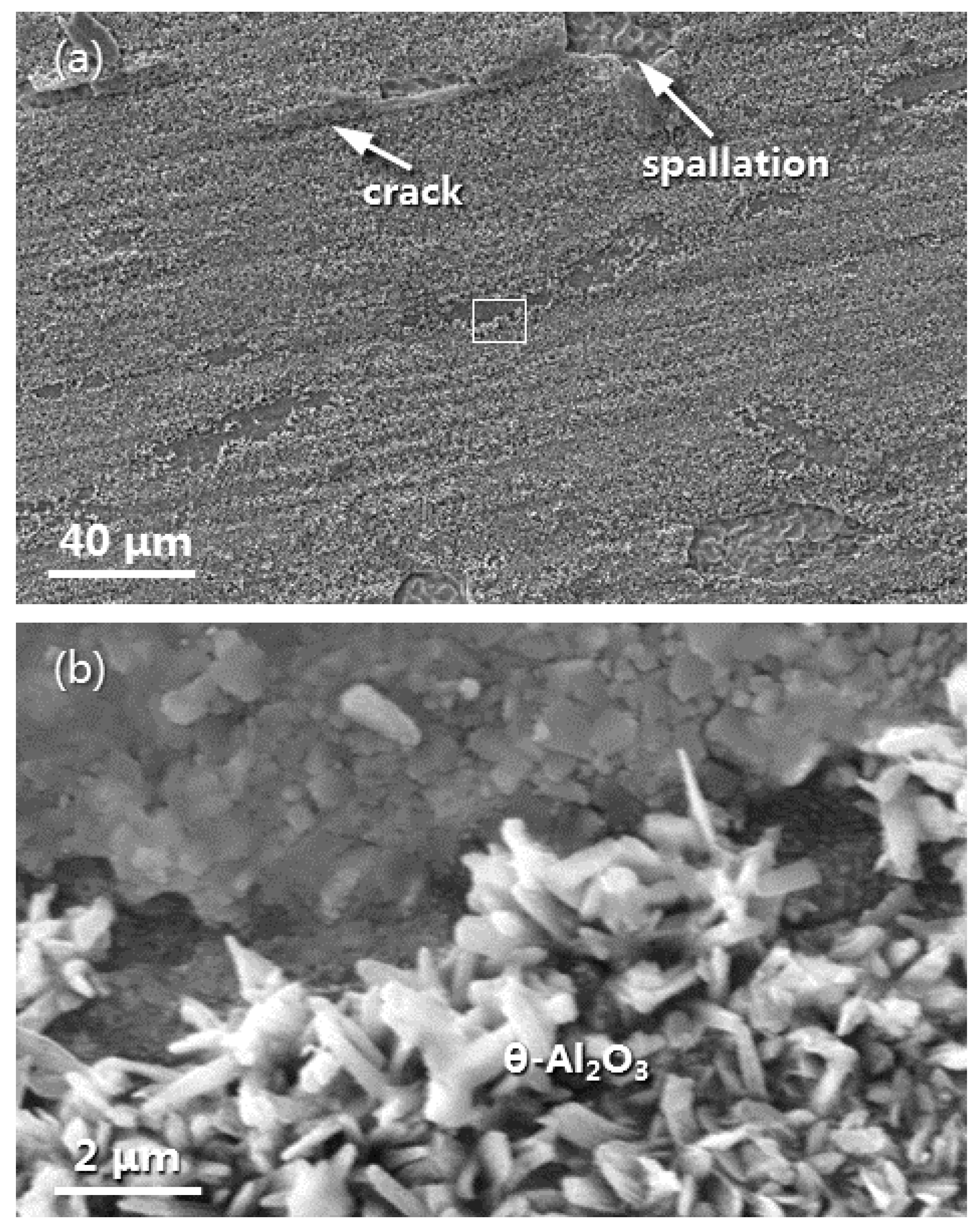 Materials 16 07205 g010