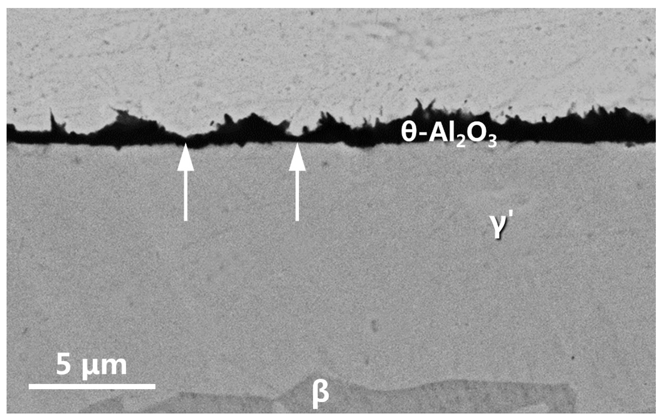 Materials 16 07205 g011
