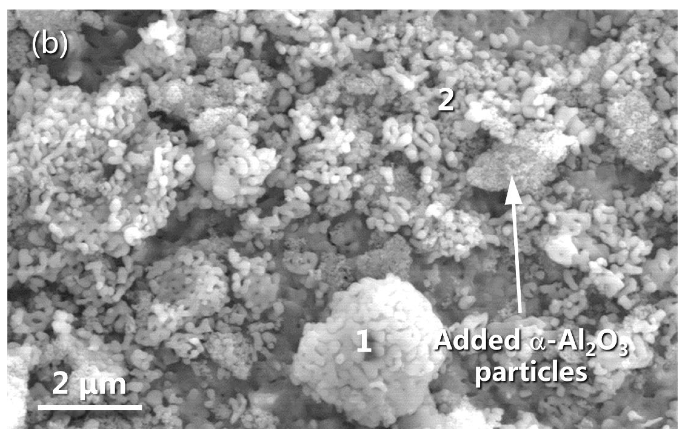 Materials 16 07205 g012b