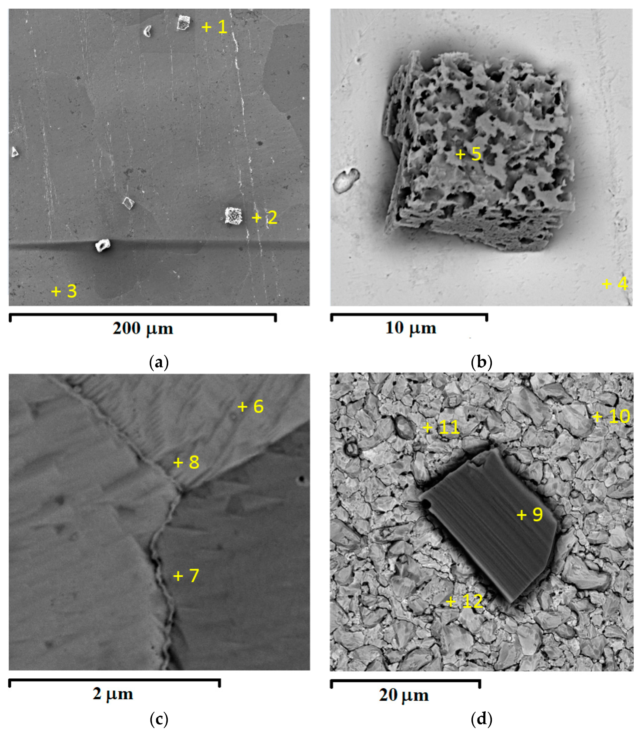 Materials 16 07207 g003