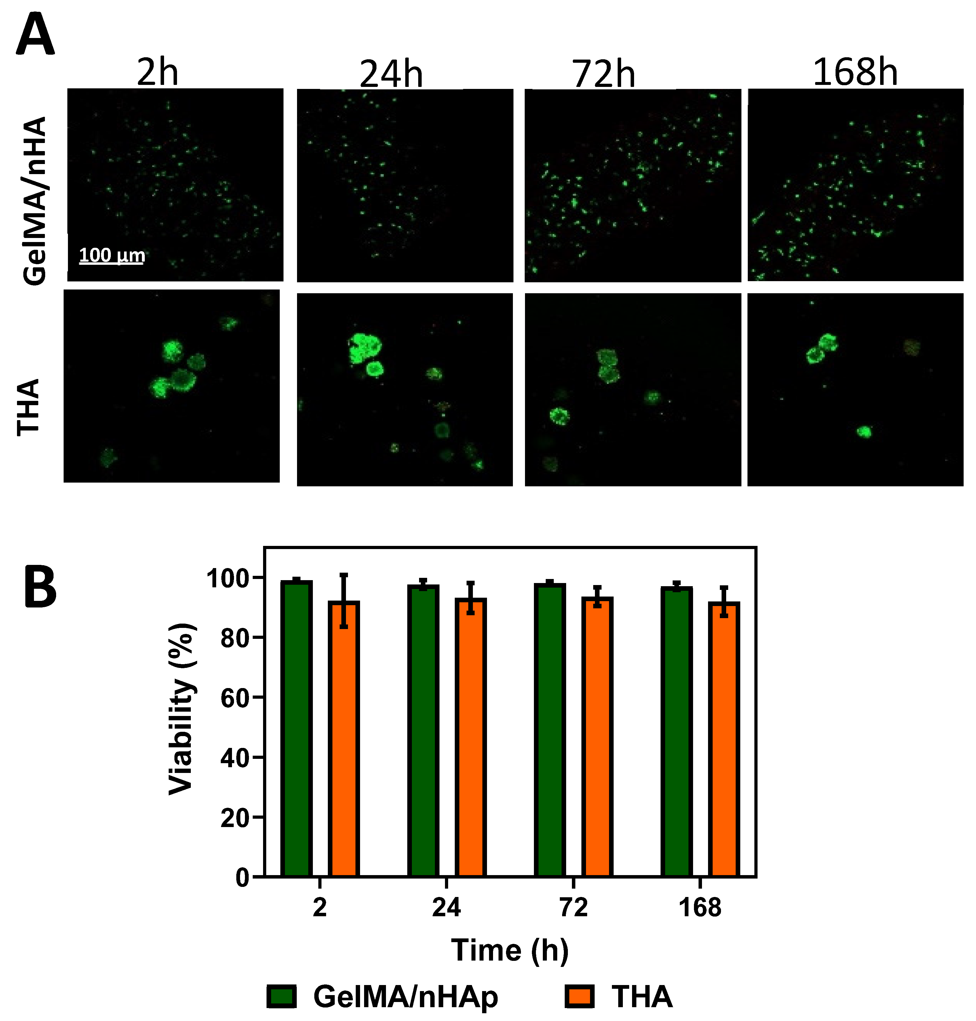 Materials 16 07214 g004