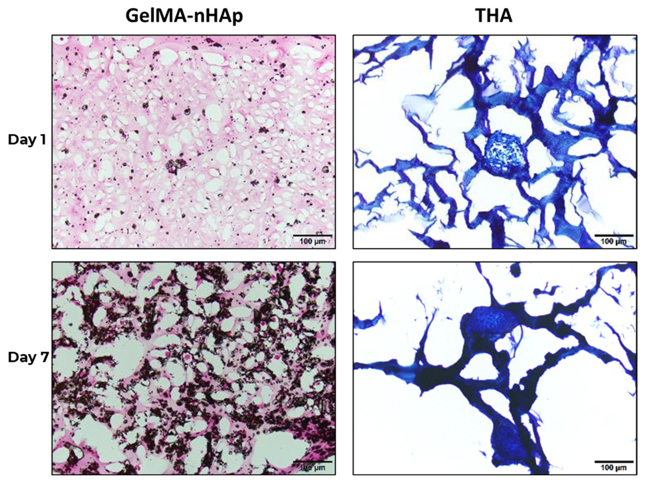 Materials 16 07214 g006