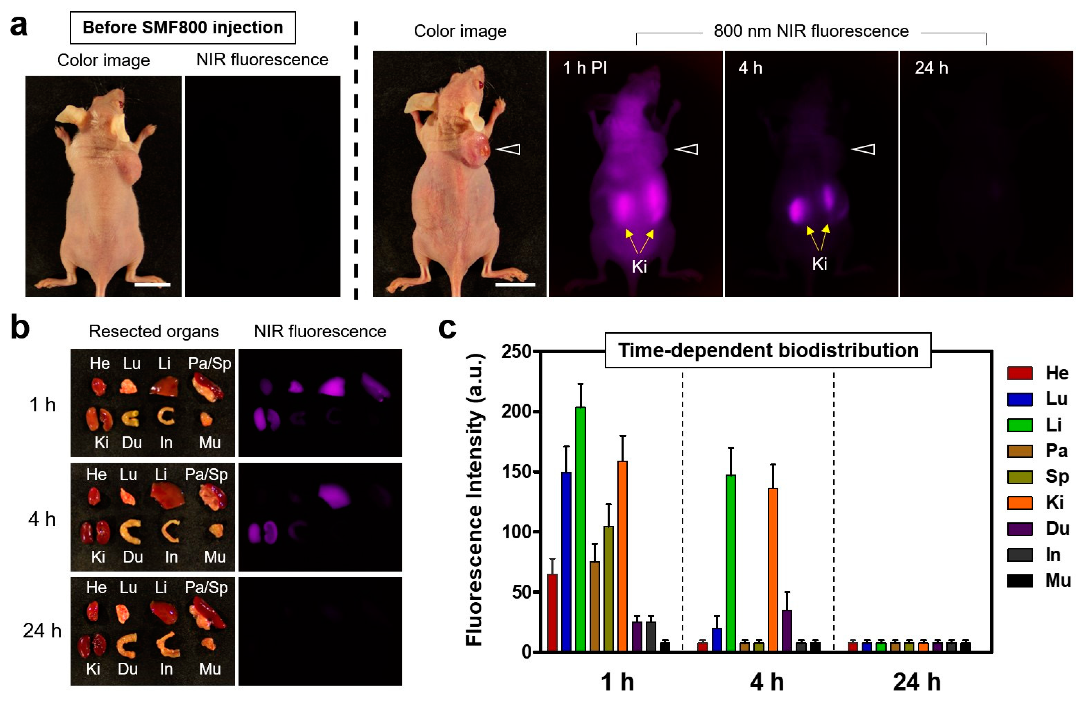 Materials 16 07227 g003 Materials 16 07227 g003