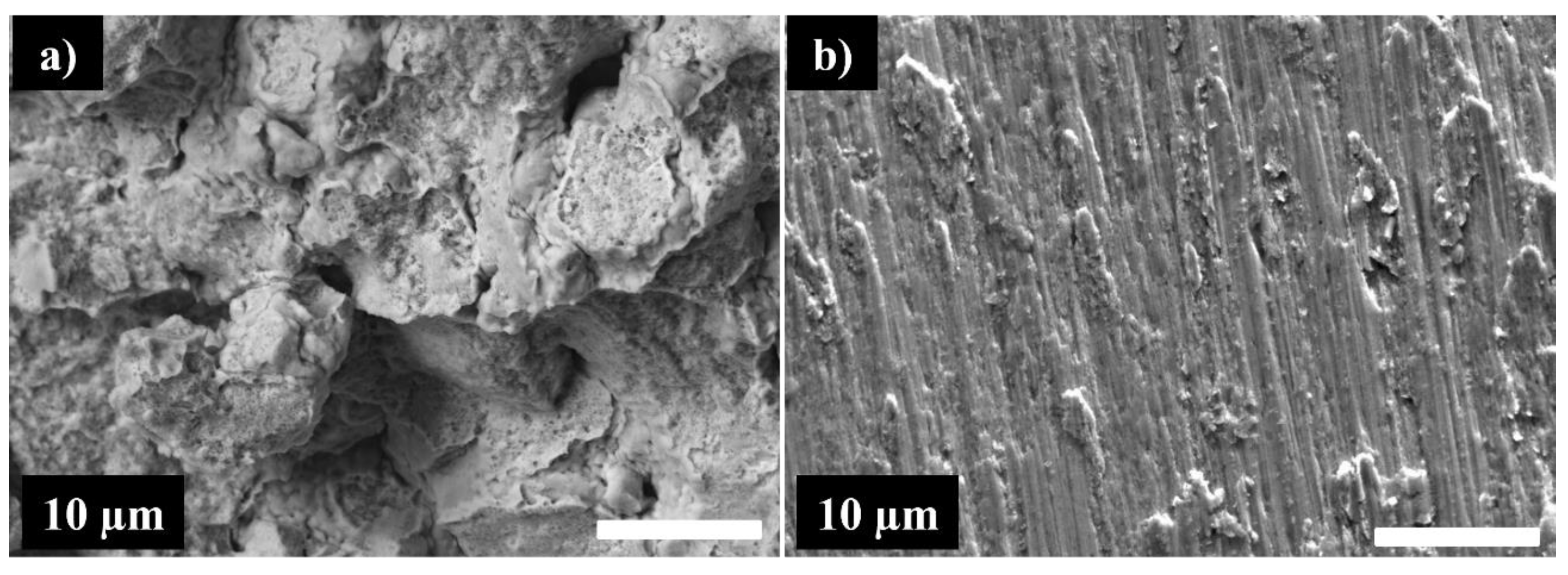 Materials 16 07244 g013