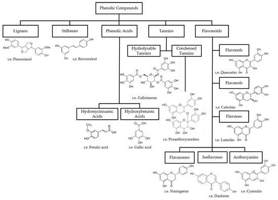 Phenolic Compounds from By-Products for Functional Textiles