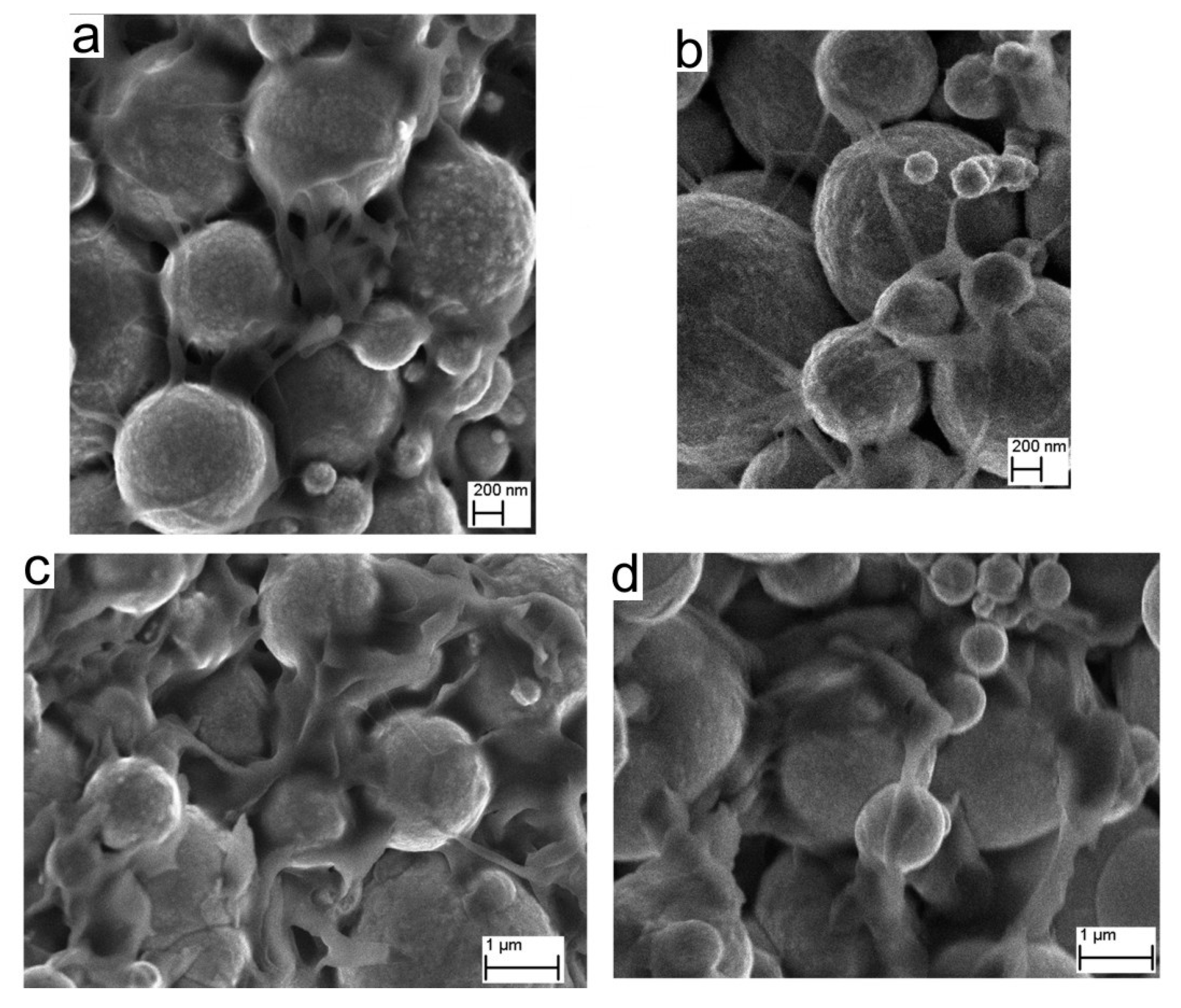 Materials 16 07268 g008