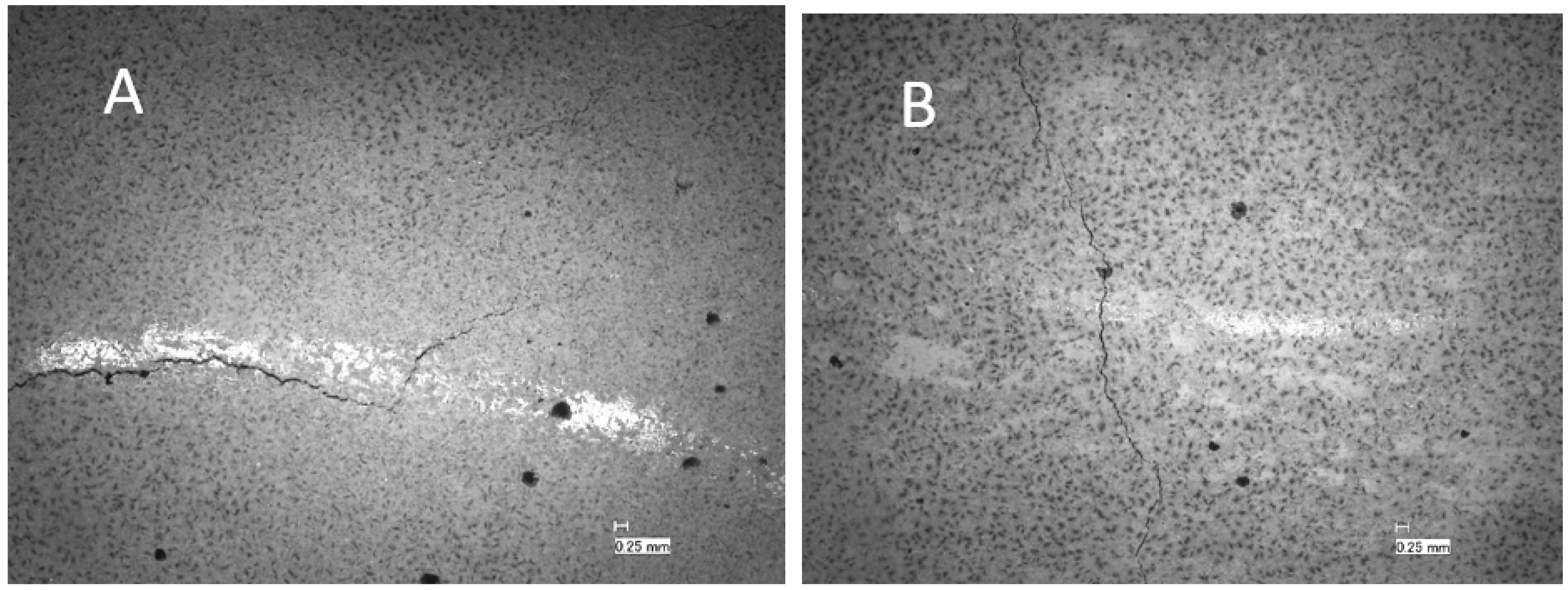 Materials 16 07281 g010