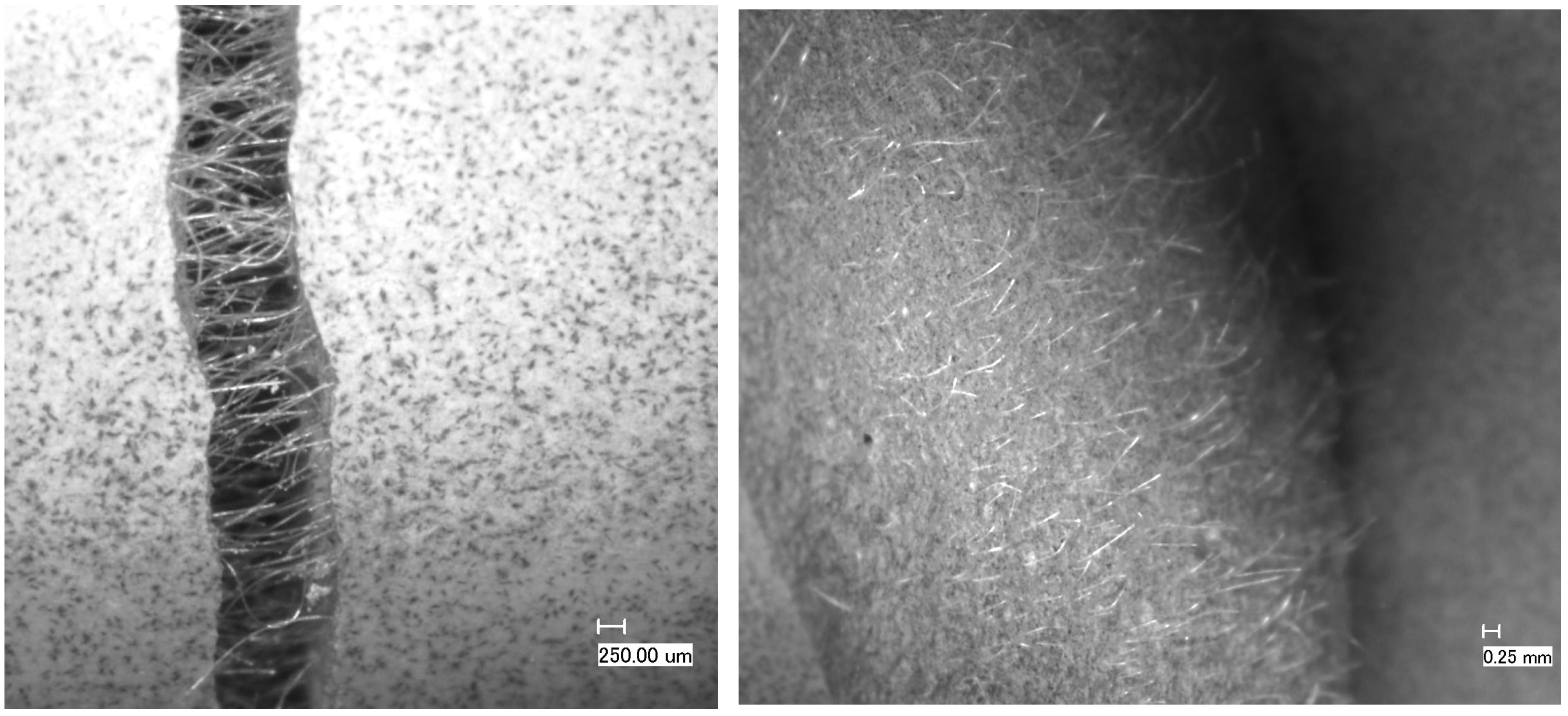 Materials 16 07281 g013