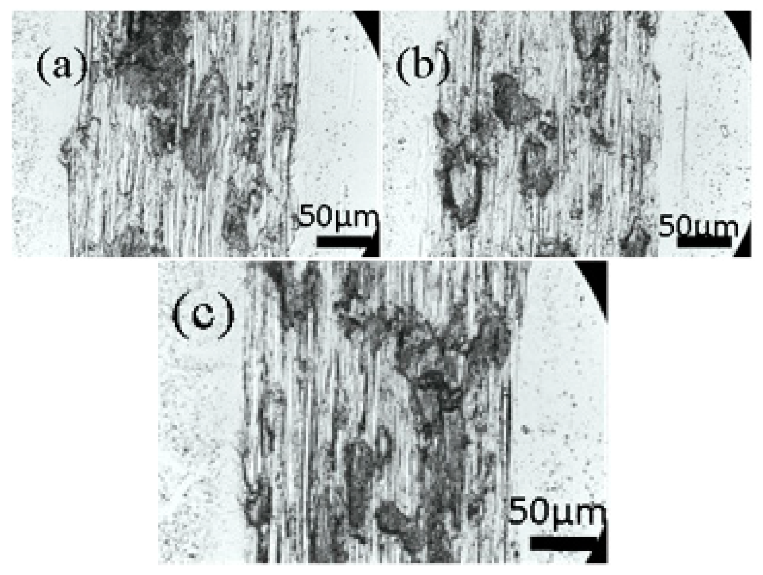 Materials 16 07294 g010