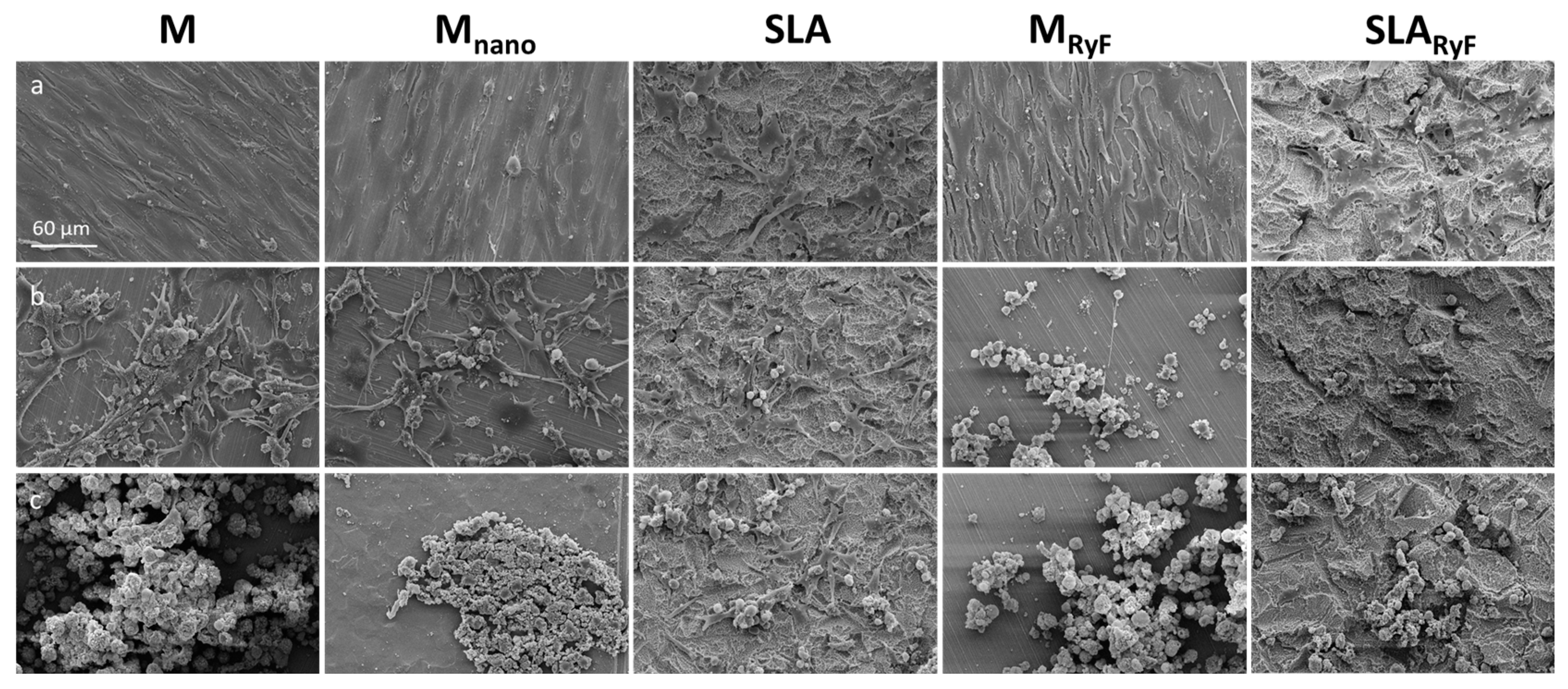 Materials 16 07307 g006