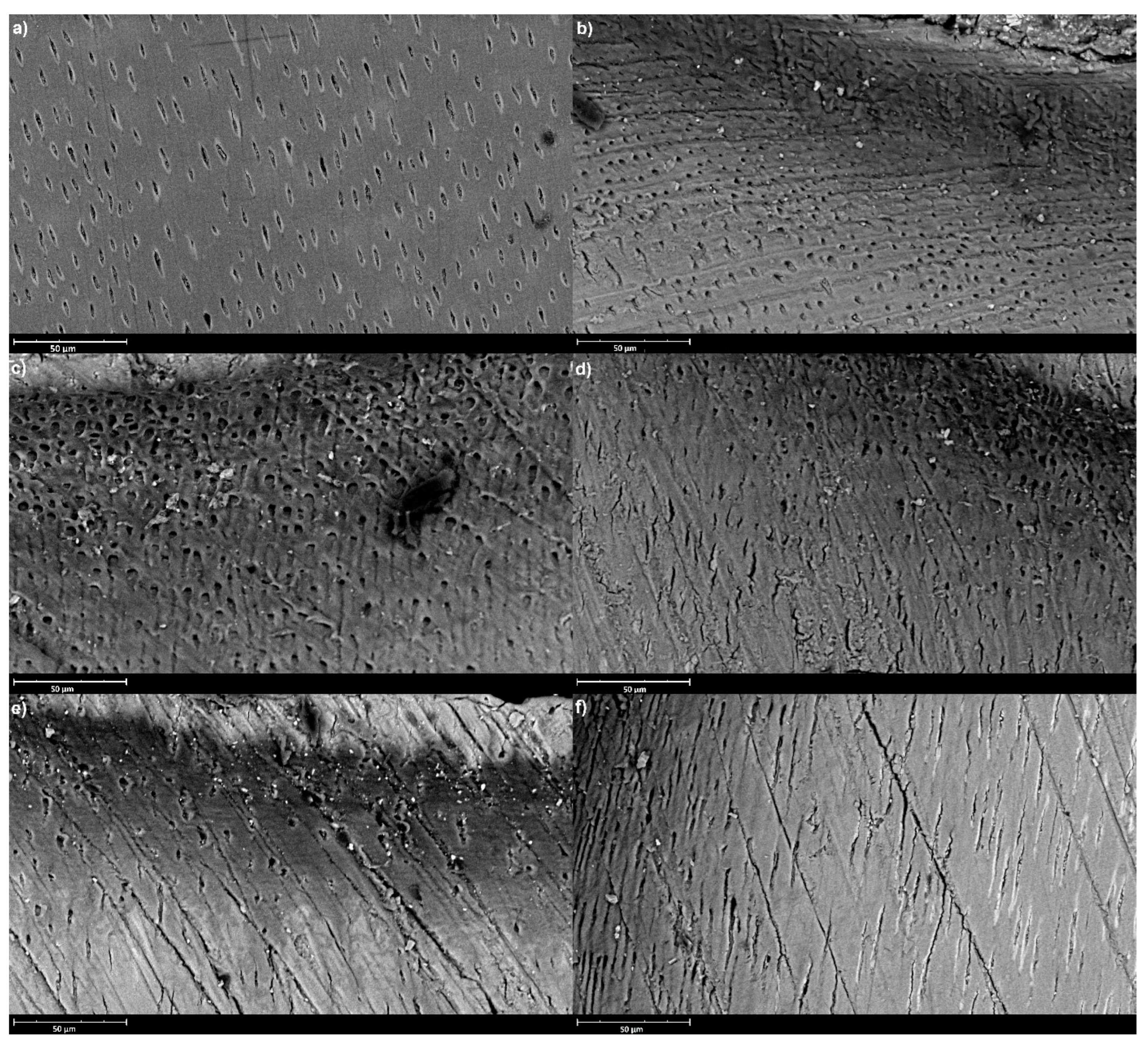 Materials 16 07310 g001