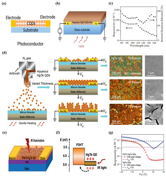 Mercury Chalcogenide Colloidal Quantum Dots for Infrared Photodetectors