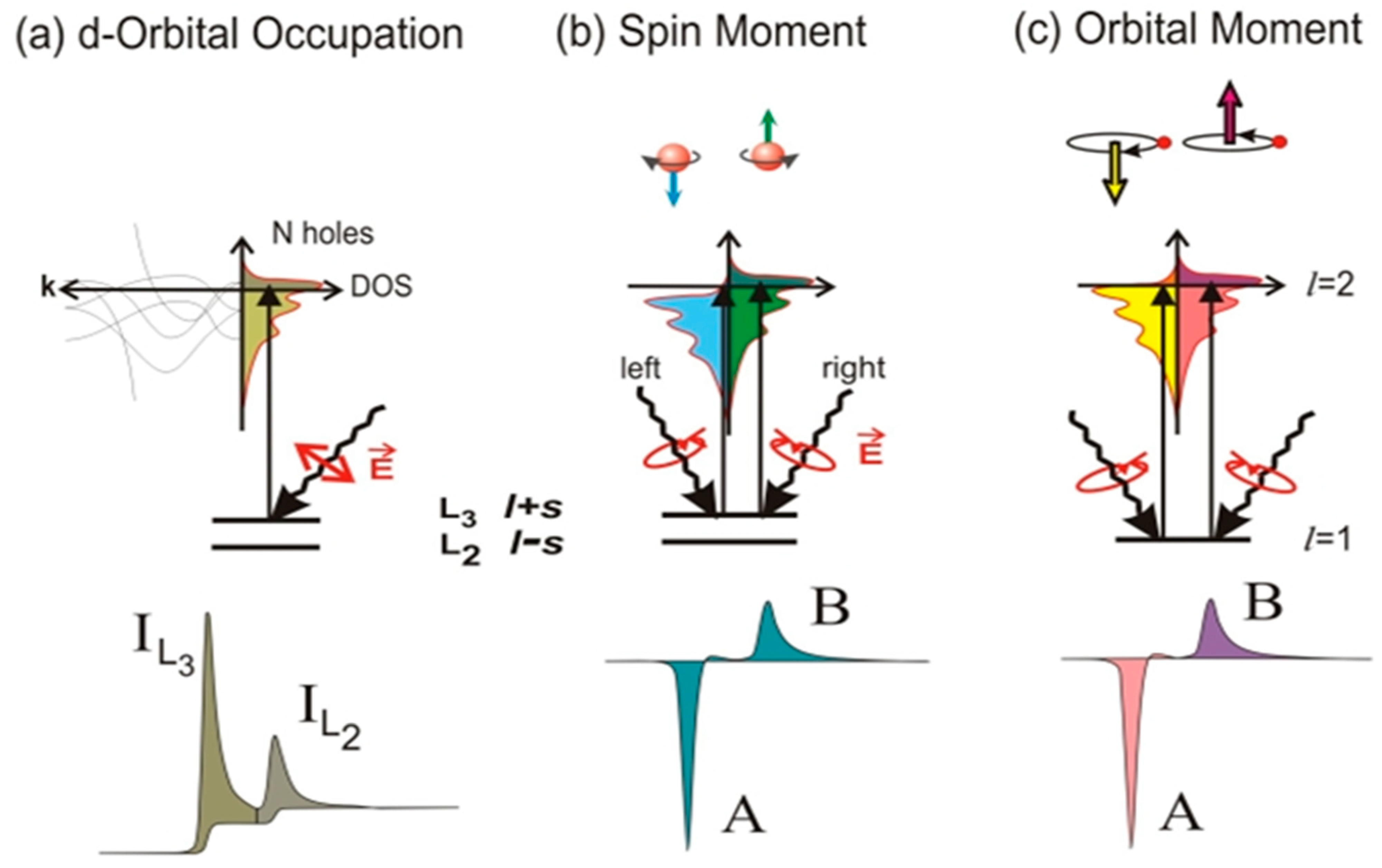 Materials 16 07331 g013