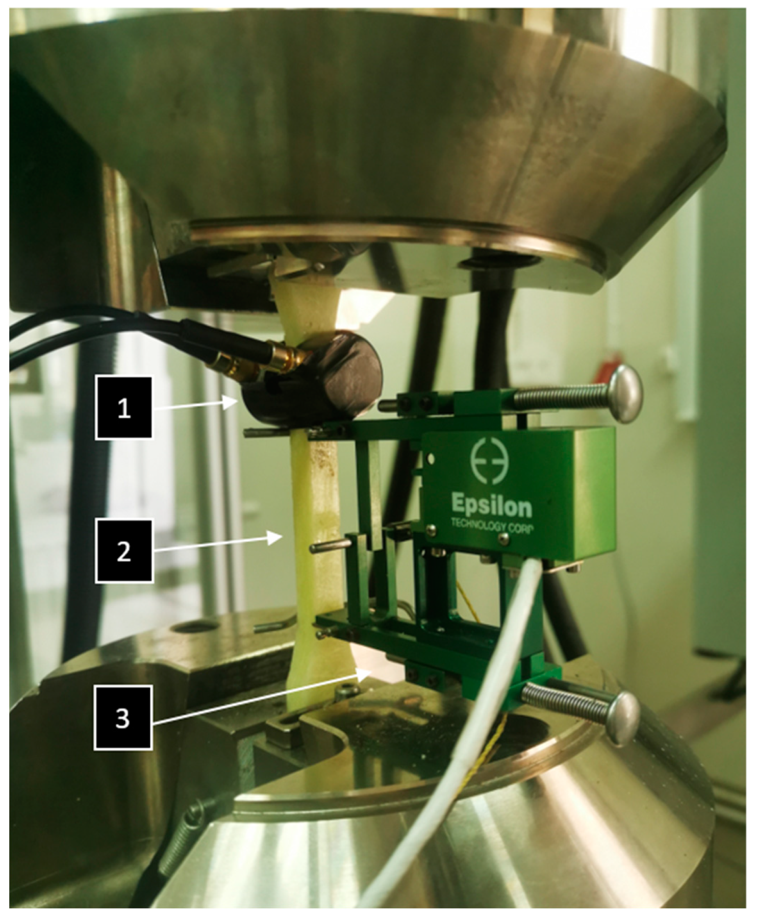 Materials 16 07334 g004