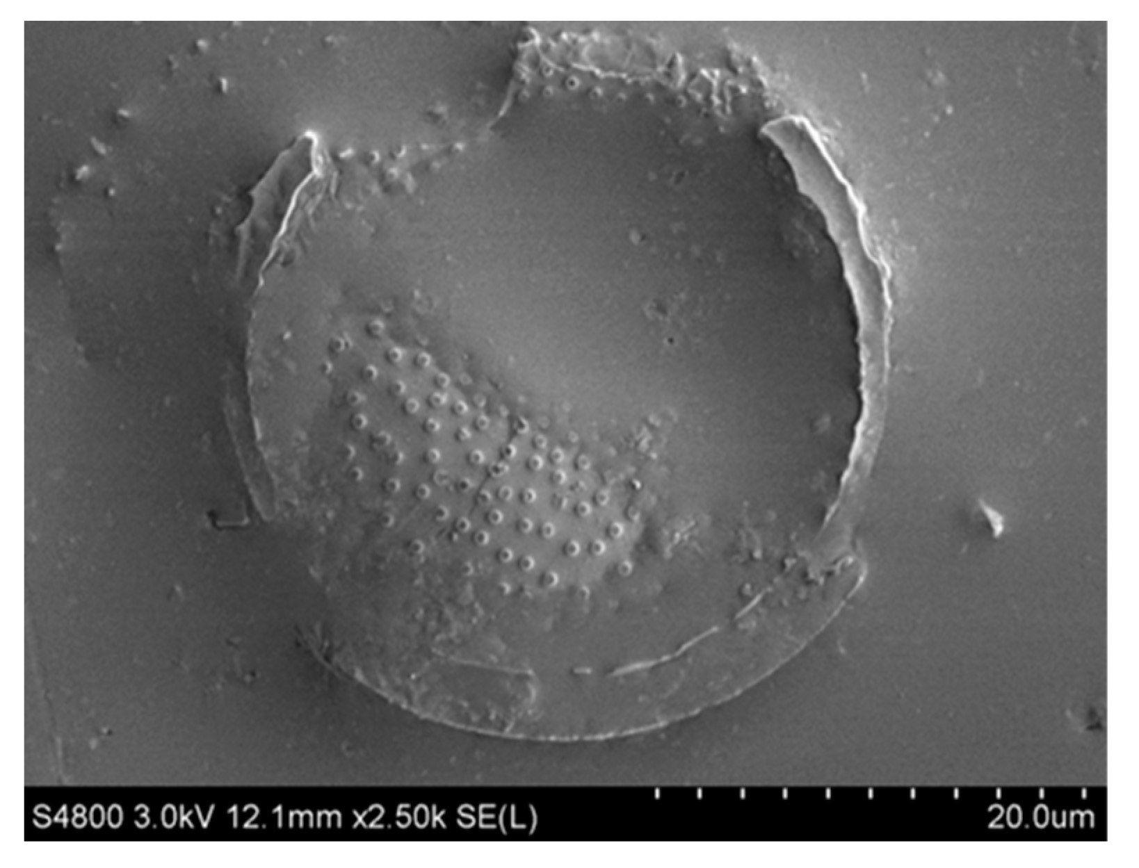 Materials 16 07359 g007