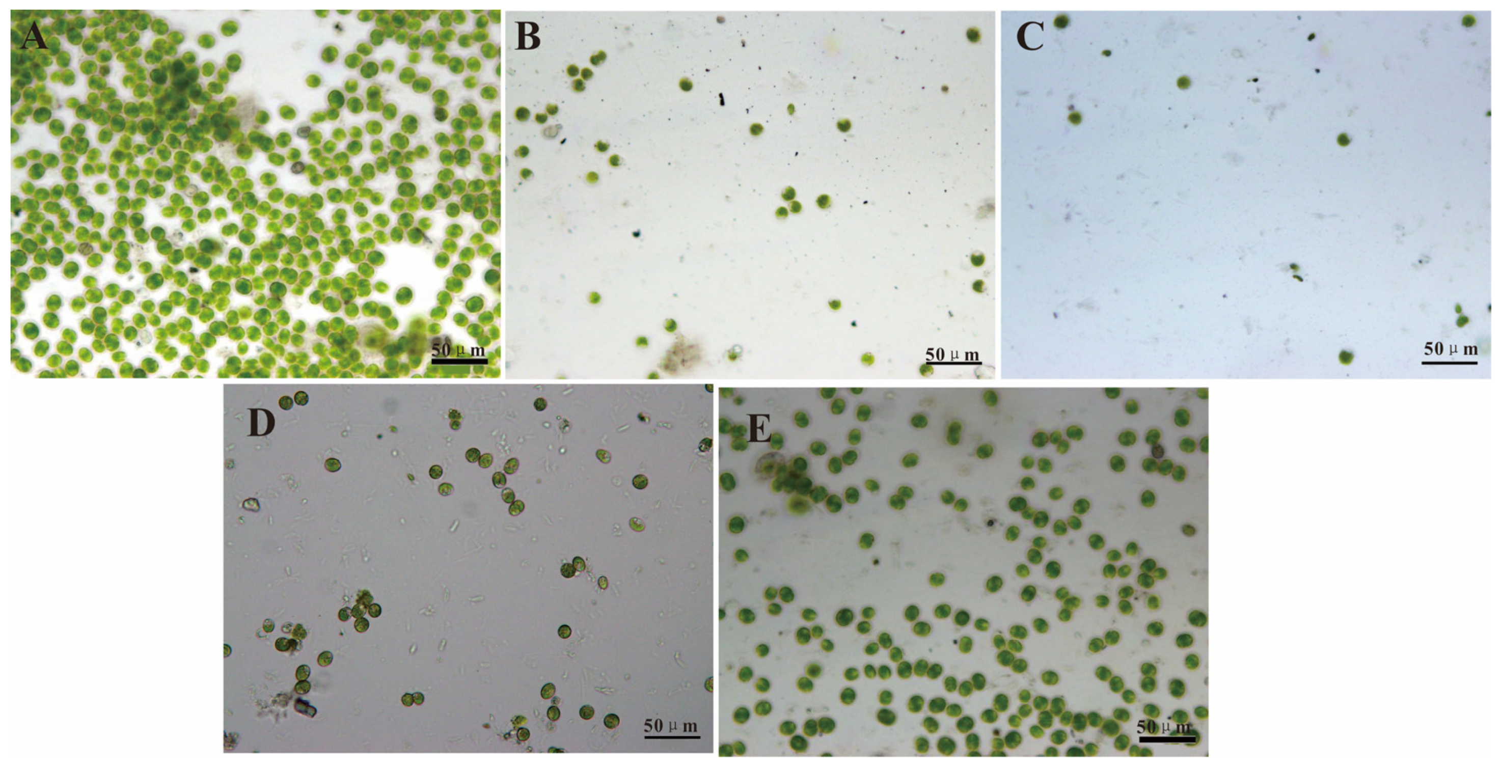 Materials 16 07367 g005