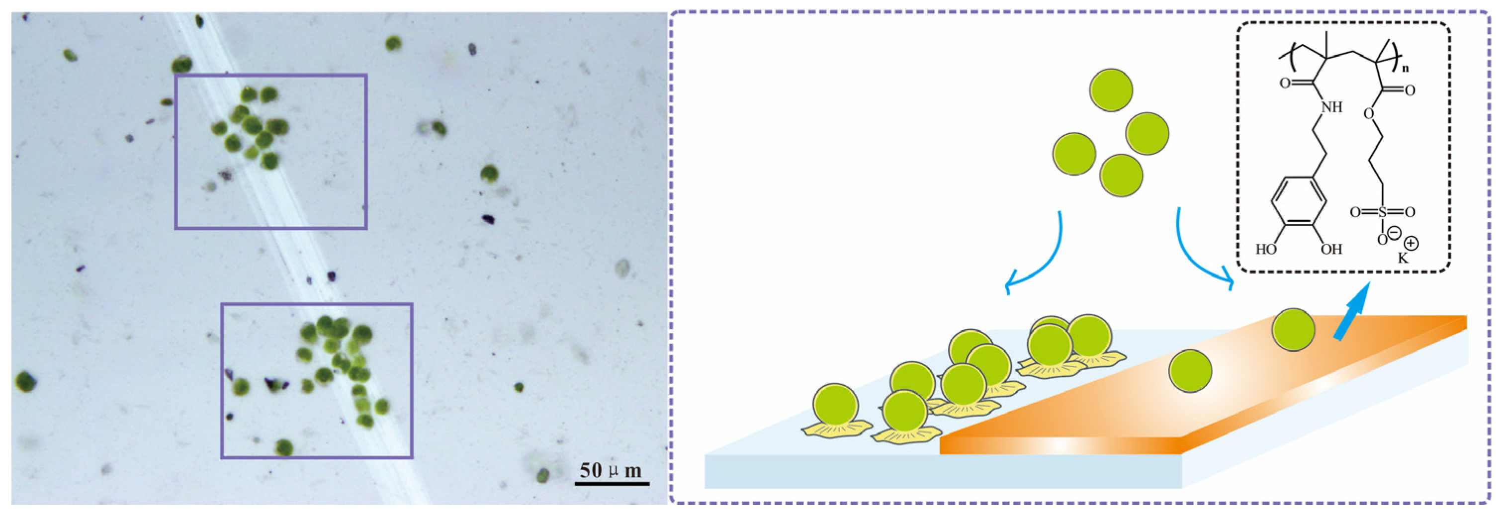 Materials 16 07367 g007