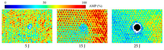 On Impact Damage and Repair of Composite Honeycomb Sandwich Structures