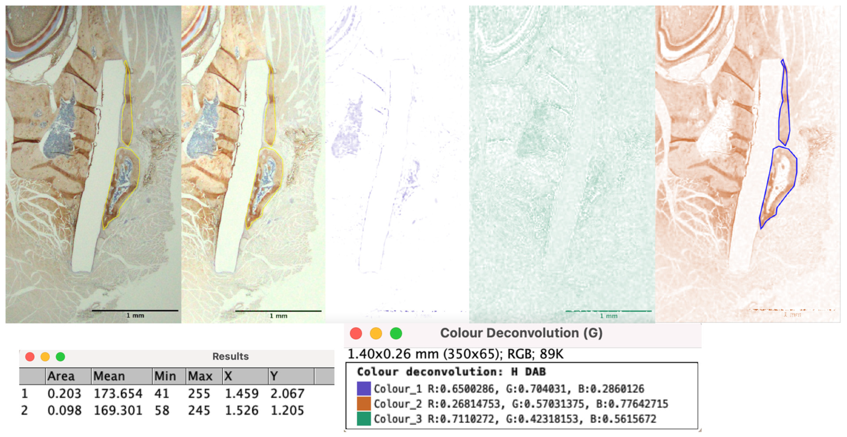 Materials 16 07379 g006