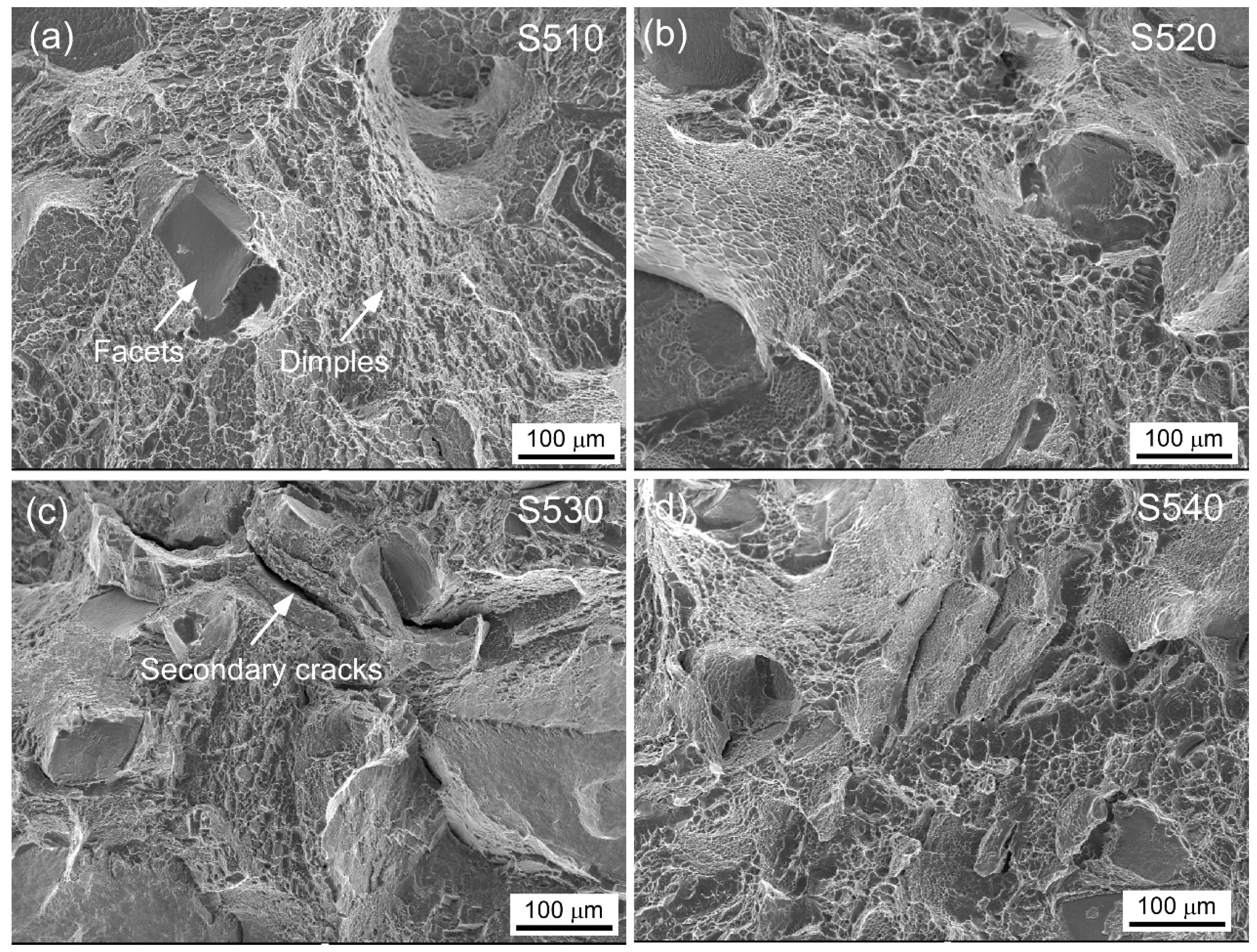 Materials 16 07393 g007