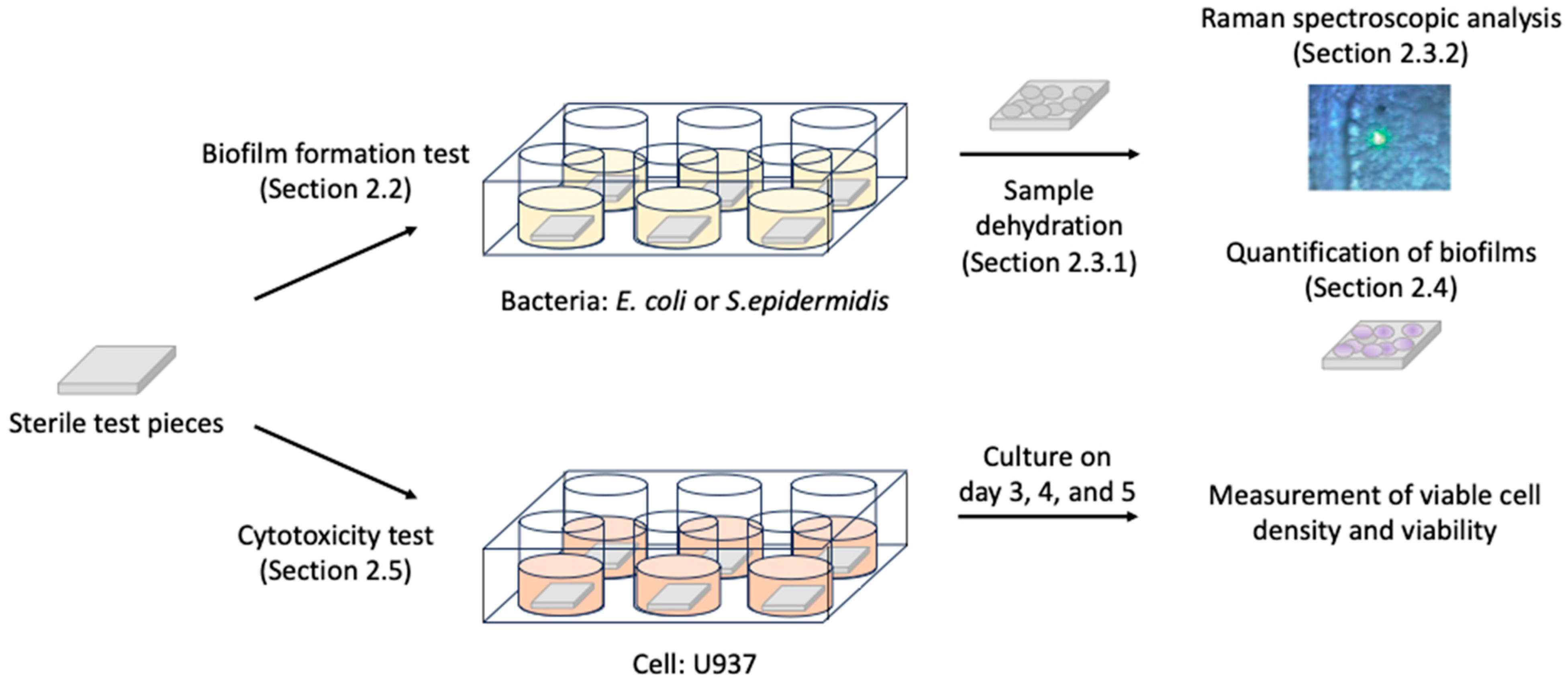 Materials 16 07399 g001