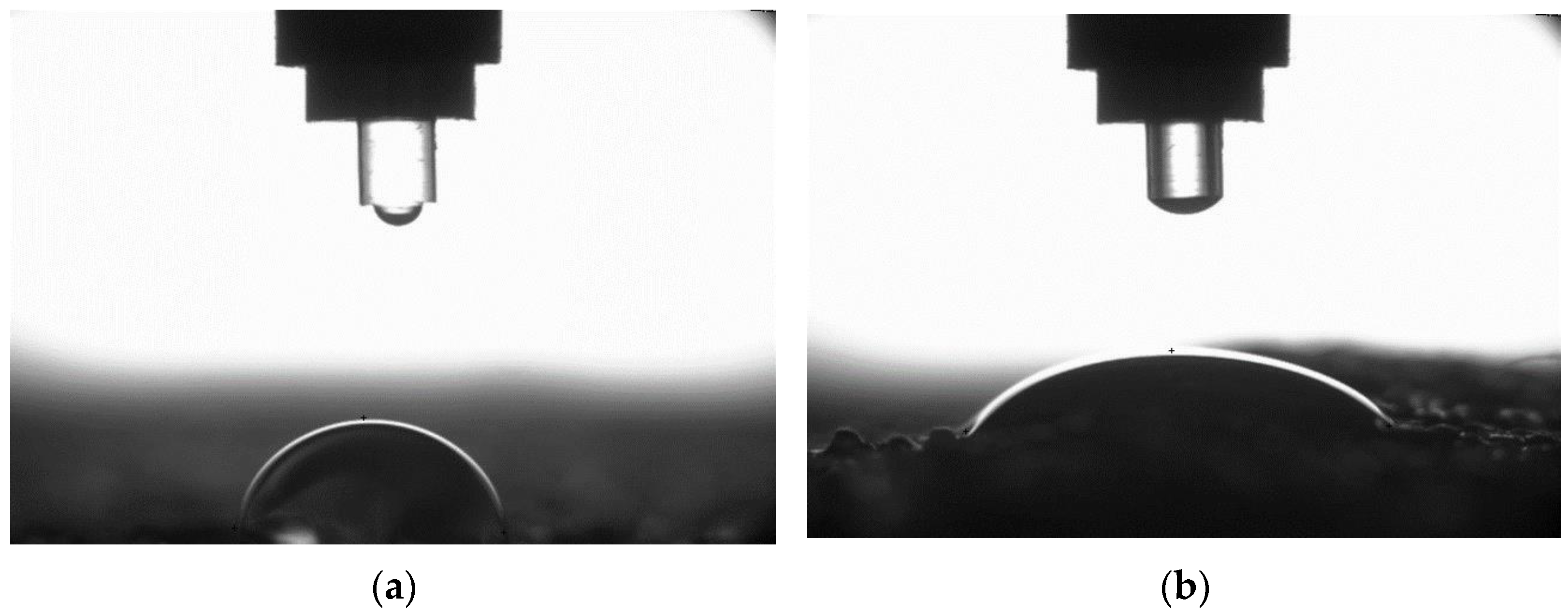 Materials 16 07408 g007