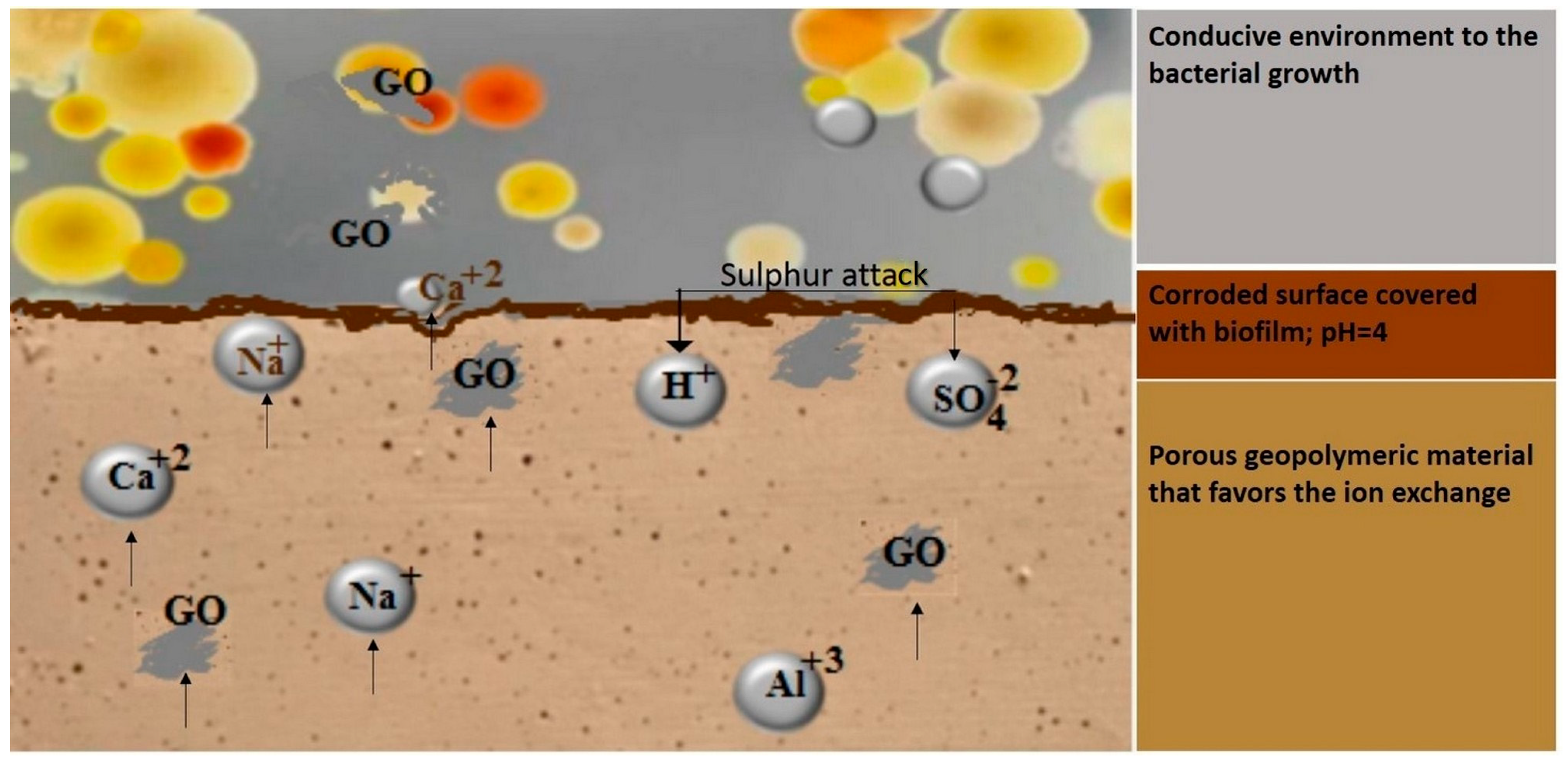 Materials 16 07414 g003