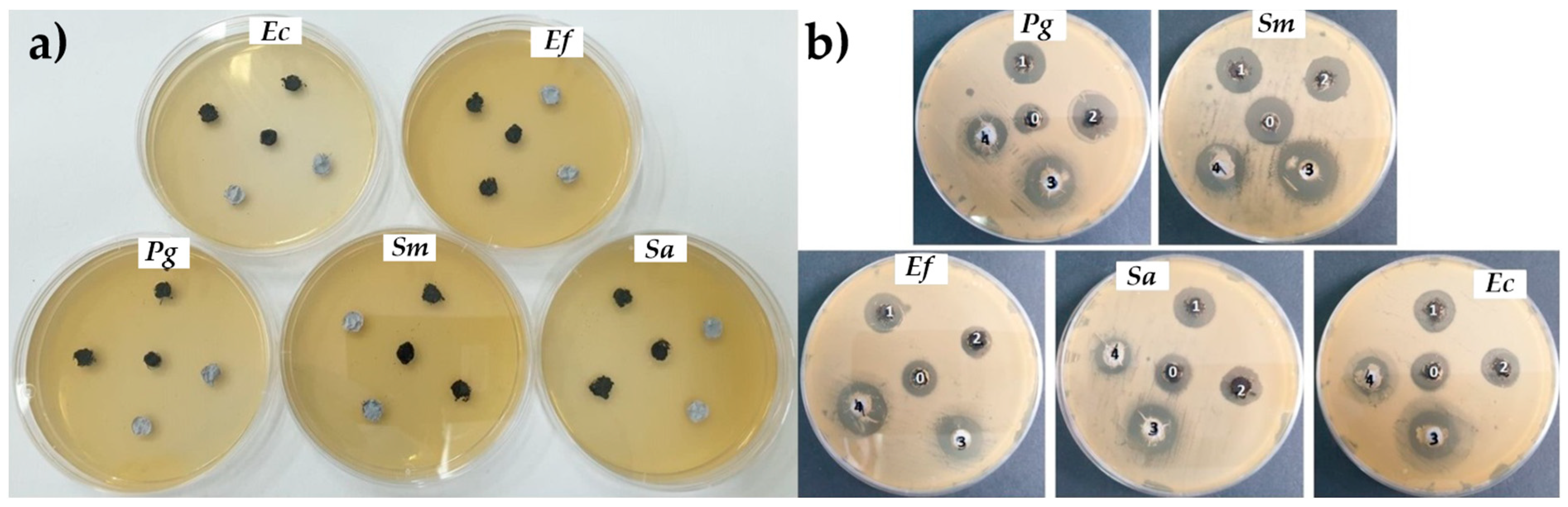 Materials 16 07414 g004