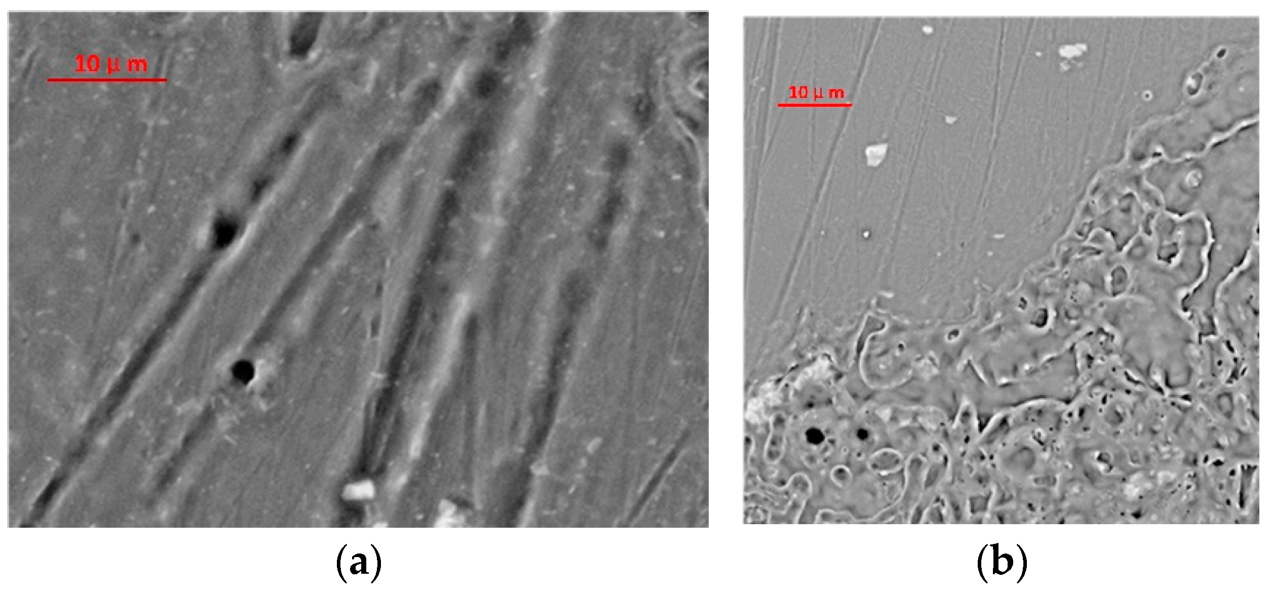 Materials 16 07415 g006 Materials 16 07415 g006