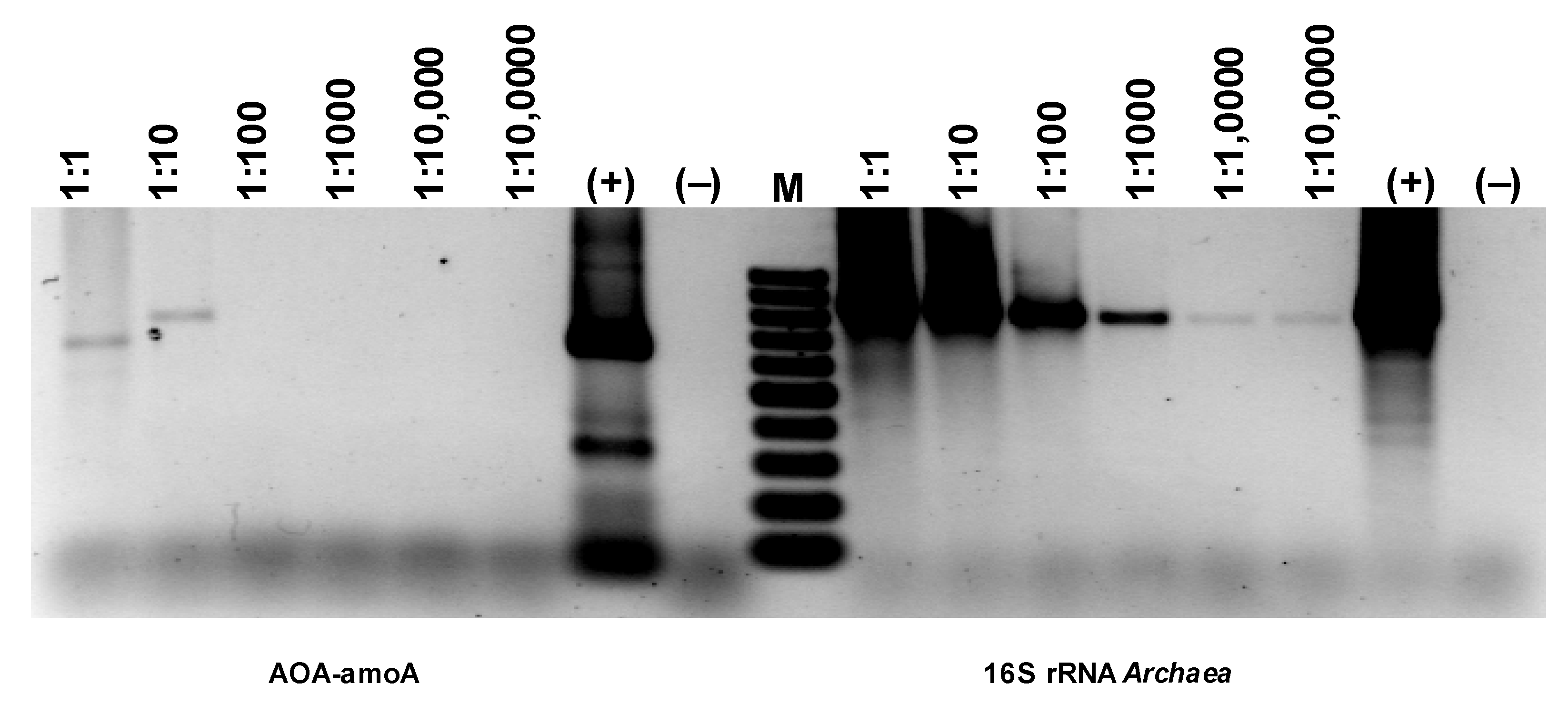 Materials 16 07417 g018a
