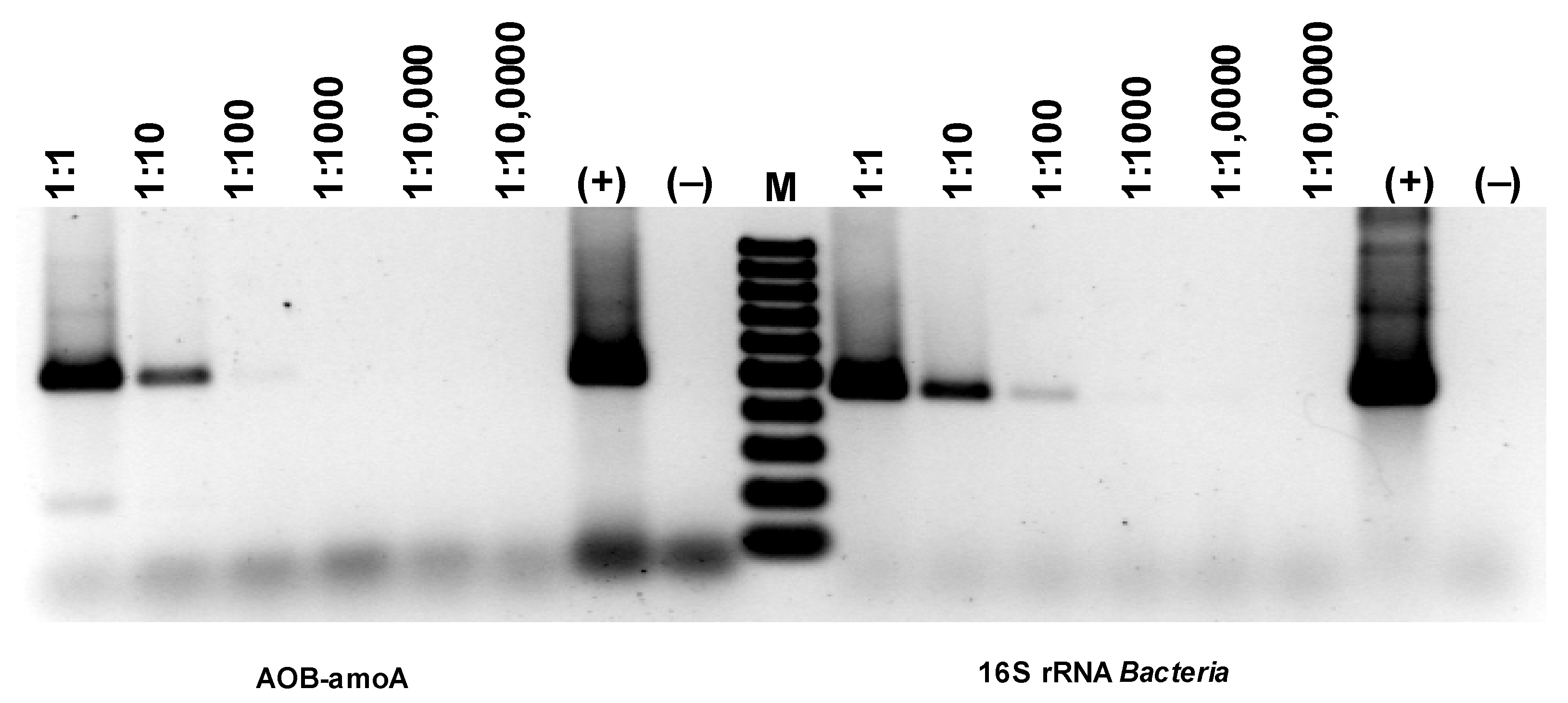 Materials 16 07417 g018b