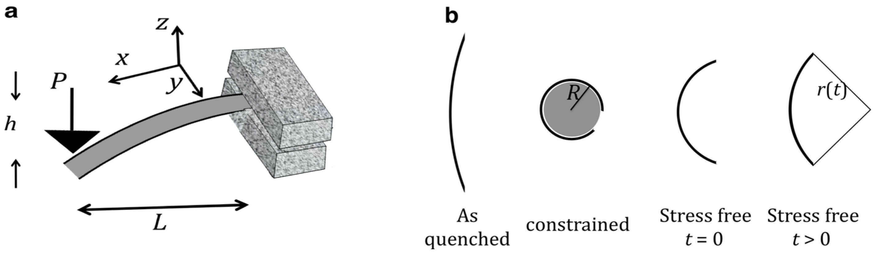 Materials 16 07444 g001