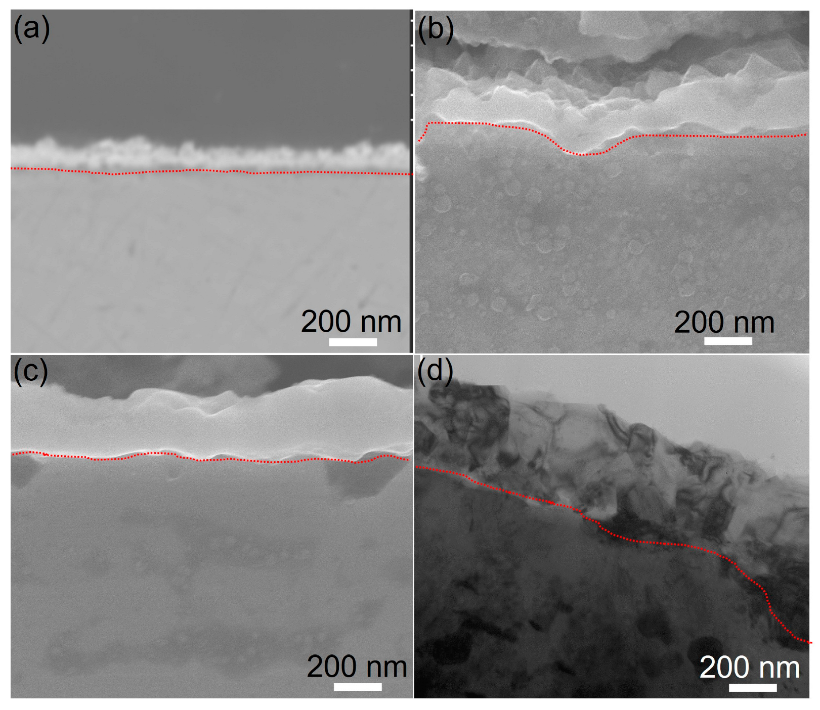 Materials 16 07449 g003