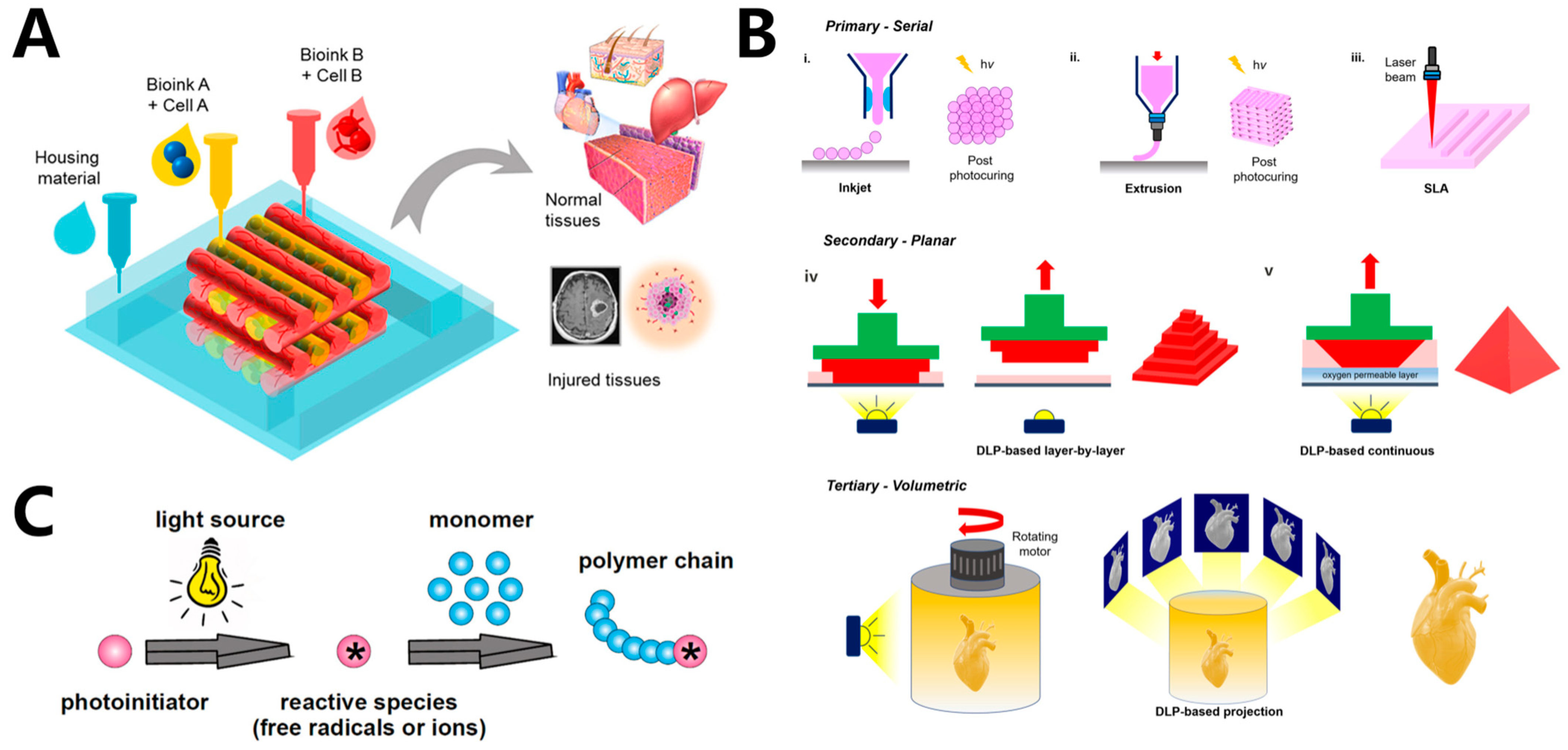 Rapid High-Resolution Visible Light 3D Printing