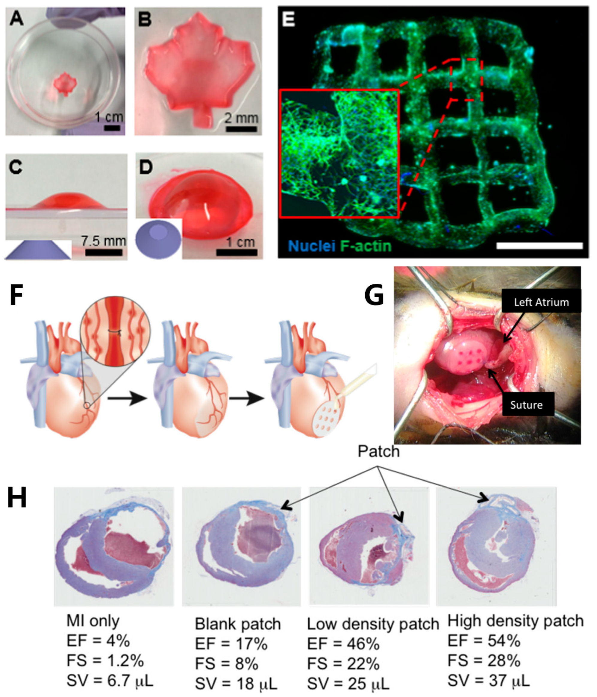 Materials 16 07461 g004