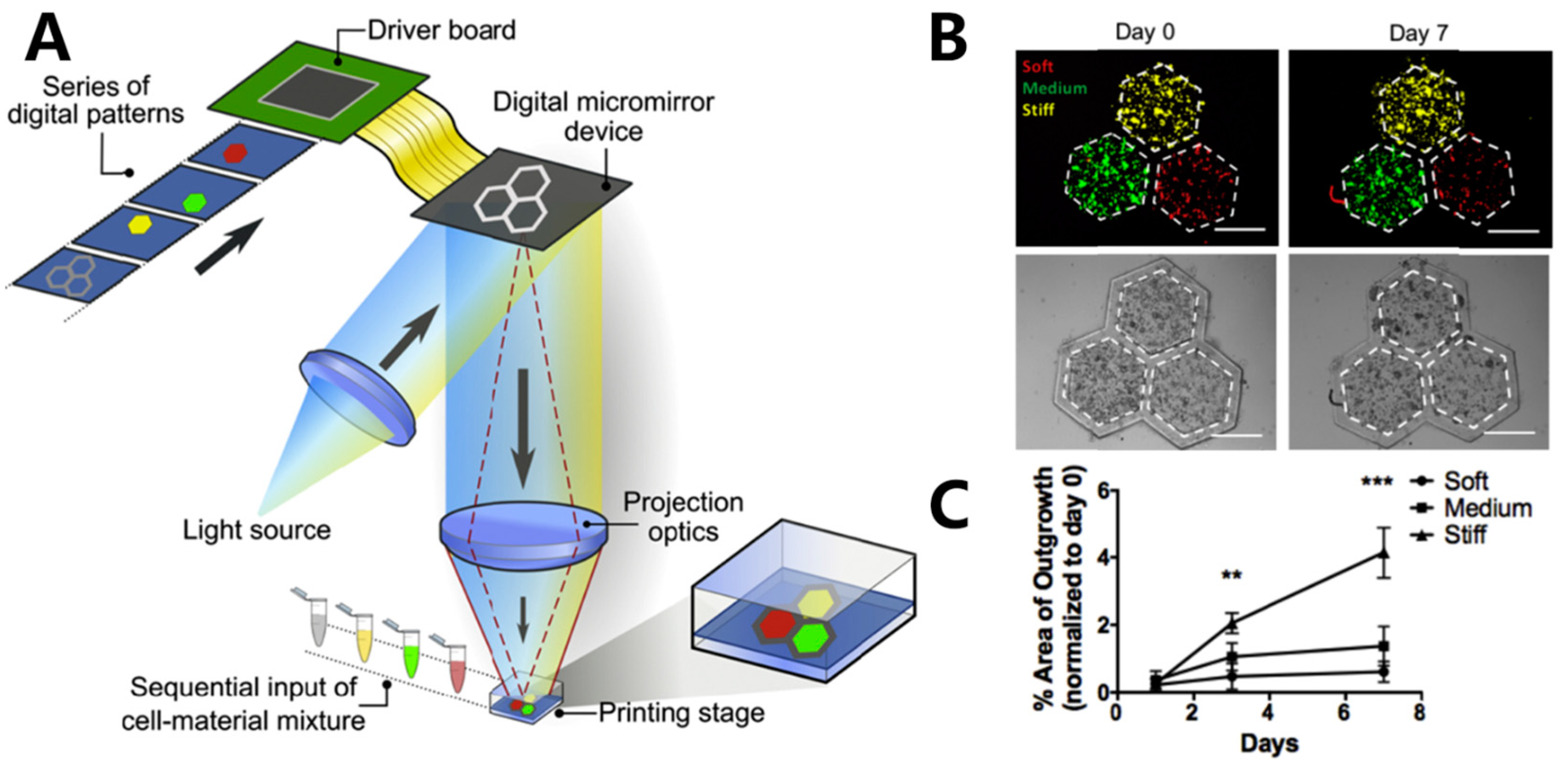 Materials 16 07461 g005