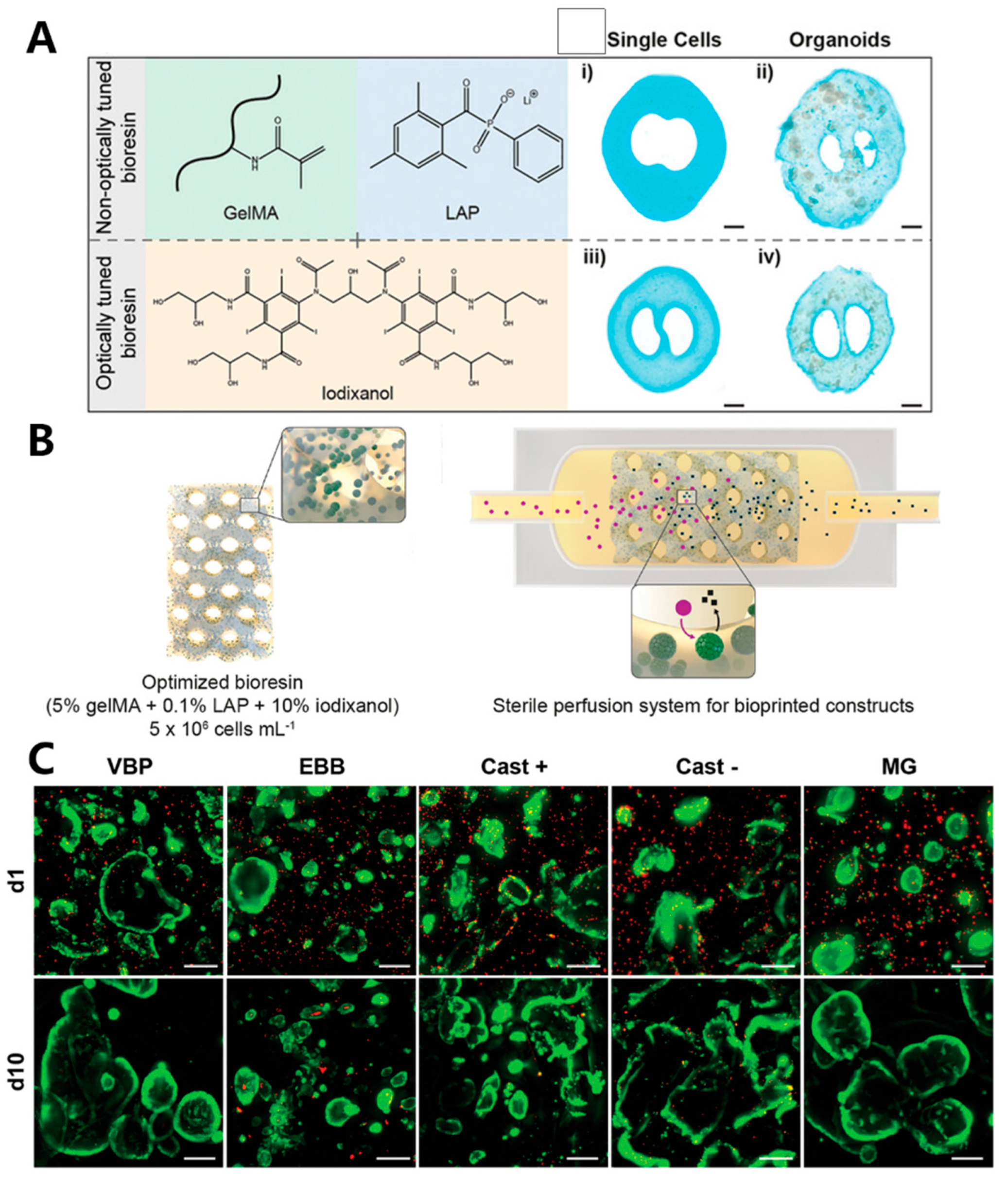 Materials 16 07461 g011