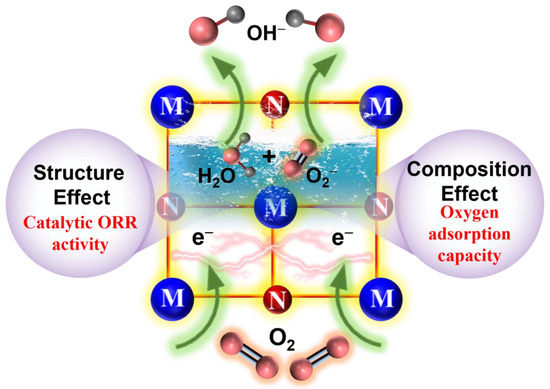 TTU Intrinsic Properties Affecting the Catalytic Activity toward