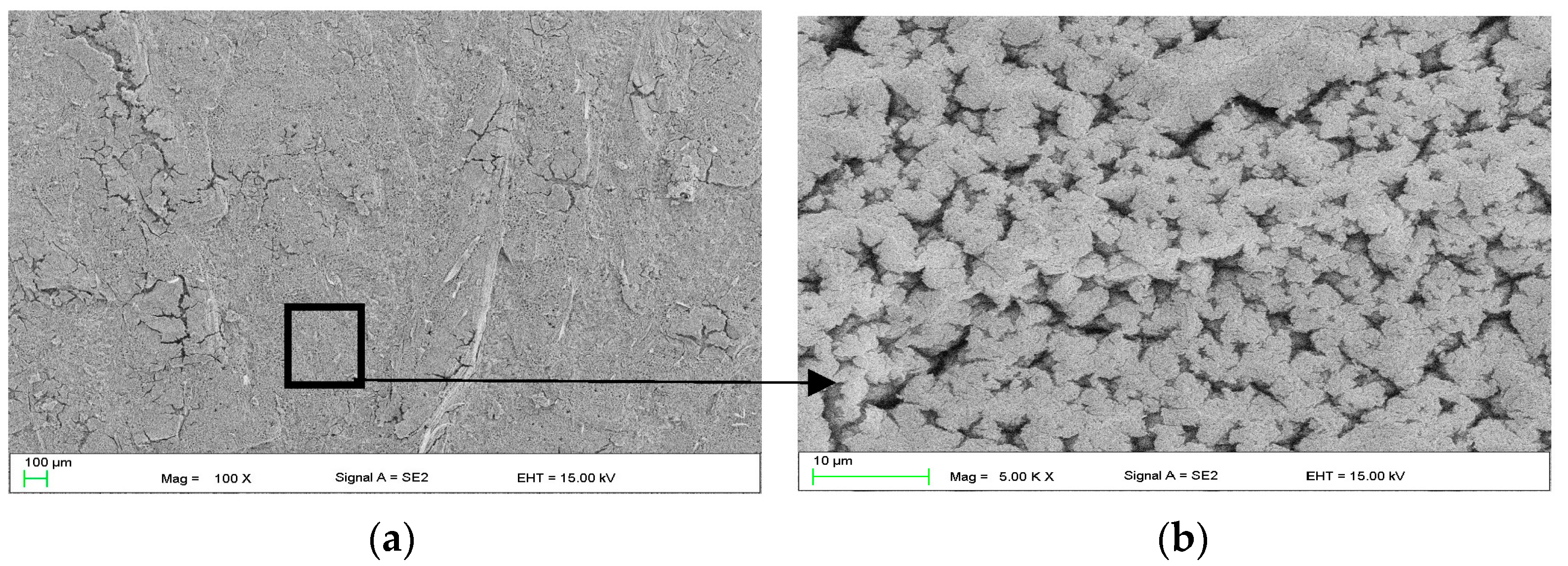 Materials 16 07486 g003