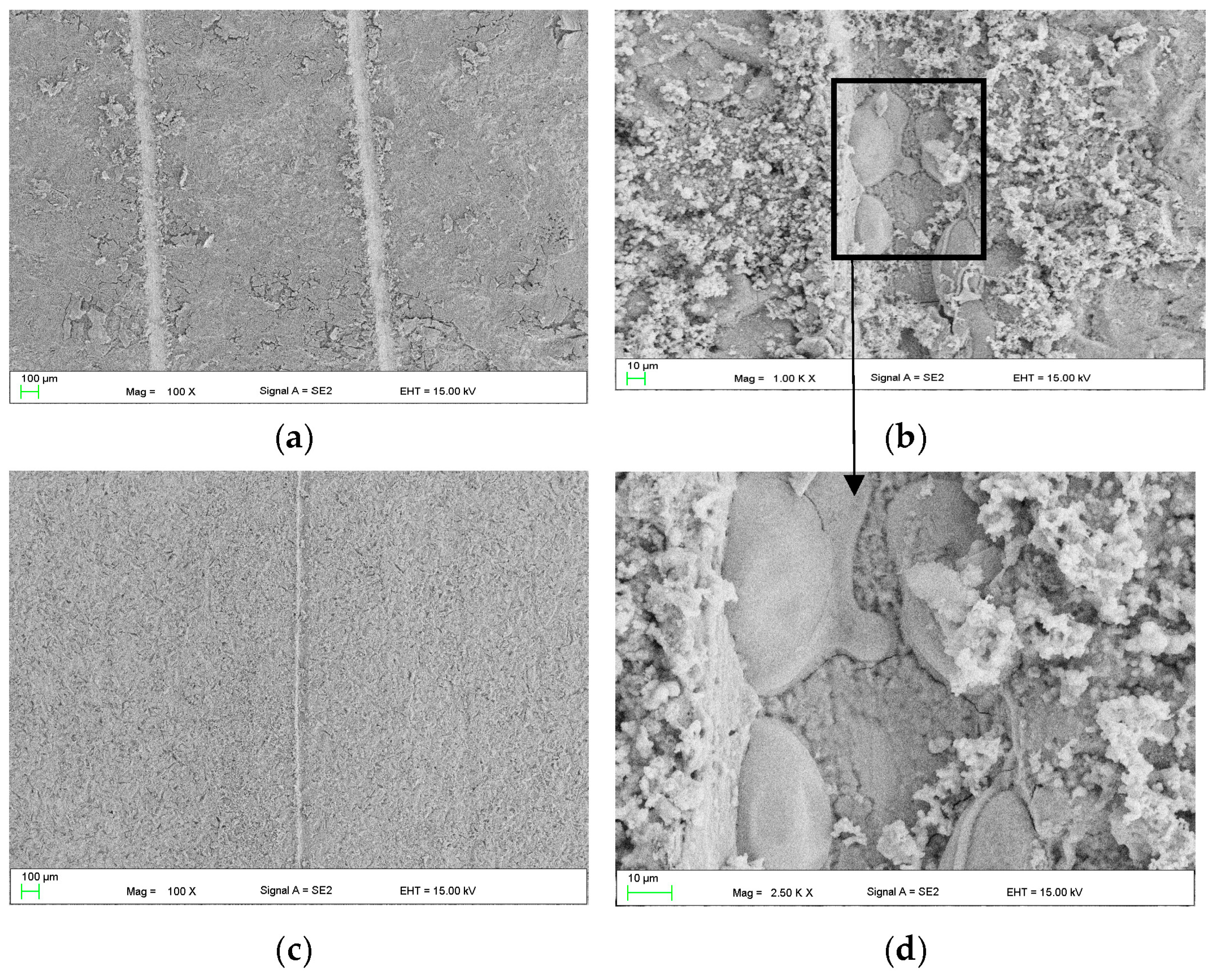 Materials 16 07486 g004